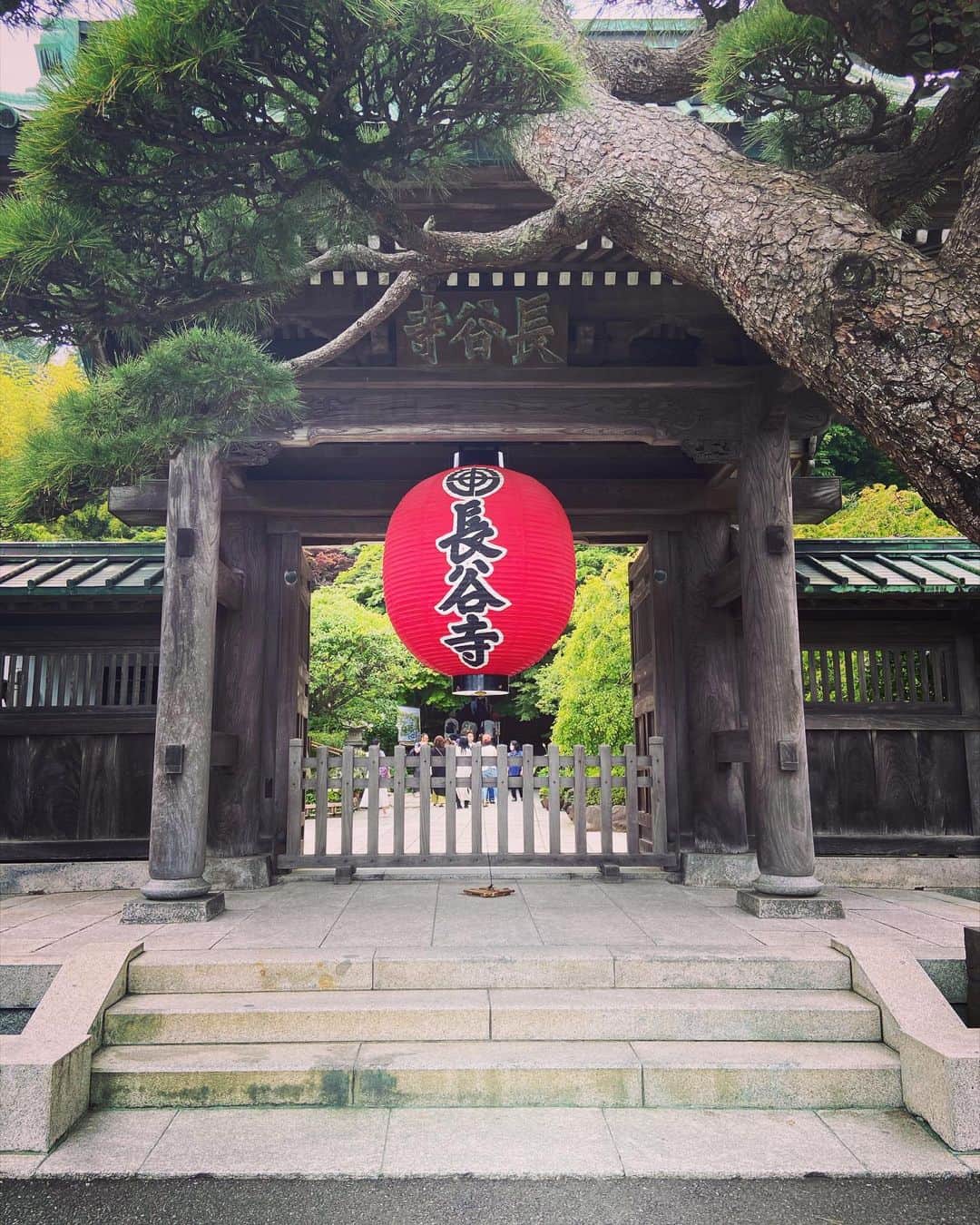 武藤昭平さんのインスタグラム写真 - (武藤昭平Instagram)「久々の鎌倉。」6月28日 8時27分 - syoheimuto