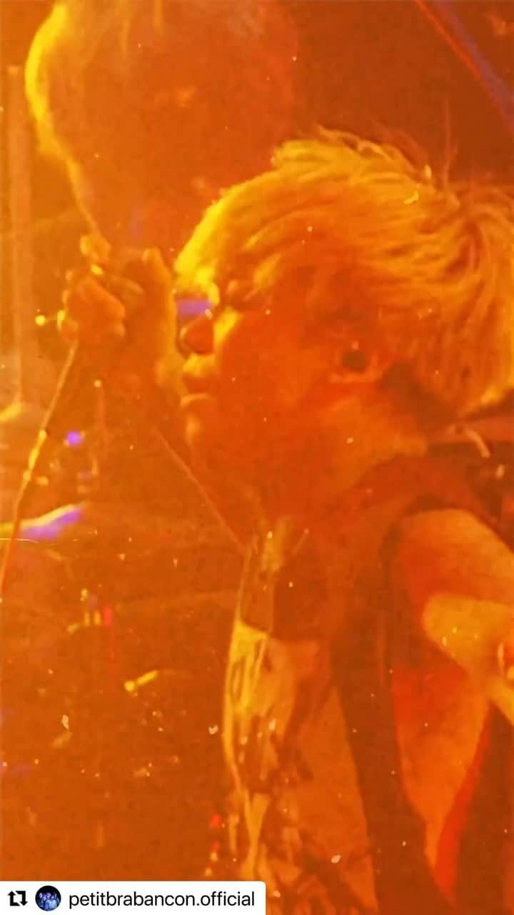 ミヤ のインスタグラム：「PetitBrabancon Tour 2023 「INDENTED BITE MARK」開催記念  KNOTFEST JAPAN 2023 LIVE動画 🌟🎥6日間連続公開🎥🌟  𝐃𝐚𝐲𝟐「無秩序は無口と謳う」  ✅新設TikTokでも配信中」