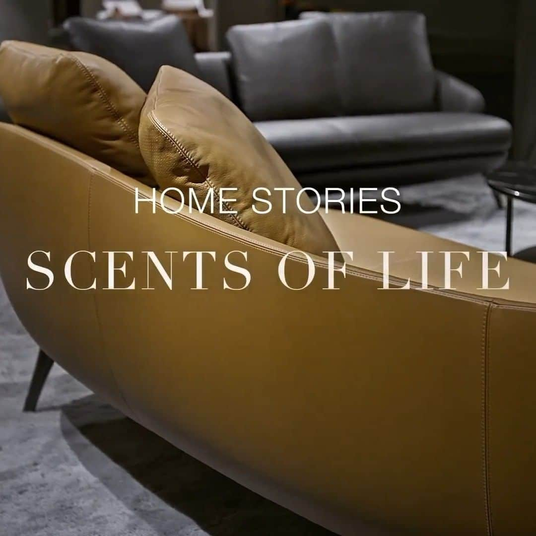 Minotti Londonのインスタグラム