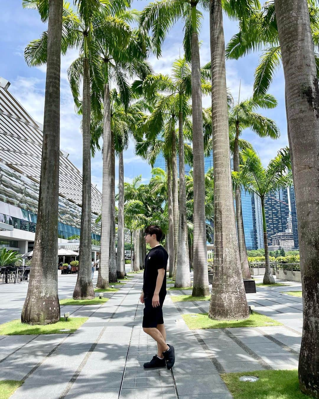 森光さんのインスタグラム写真 - (森光Instagram)「シンガポール🇸🇬に行きました。 カジノ行ったら負けました。  Merlion🦁前回は工事中で水を出していませんでしたが,今回はマーライオンしてたので見れて良かったです🌱  旅は心と体を一新し、充実した人生を送るために大切なものですね🌏  【旅行の医学的なメリット5選‼️】  1. ストレス軽減：  日常のルーティンから離れてリラックスできるため、ストレスレベルが低下します。  2. 身体活動：  歩く、ハイキングするなどの身体活動により,心血管の健康が促進されます。  3. ビタミンD増加：  日光浴でビタミンD↑↑。ビタミンDは骨の健康や免疫力向上、気分の改善に重要です。  4. 知的刺激：  新しい体験や経験によって脳が刺激され、認知機能や創造性が向上します。  5. 睡眠パターンの改善：  適度な疲労により,良い睡眠が期待できます。  I traveled to Singapore.✈️🇸🇬 Traveling offers several health benefits:  1. Stress reduction  Traveling allows you to break away from daily routines and responsibilities, helping to reduce stress levels and improve mental well-being.  2. Physical activity  Many travel experiences involve physical activities such as hiking, walking tours, or water sports. Engaging in these activities can promote fitness and overall physical health.  3. Vitamin D boost  Sunlight is a natural source of Vitamin D, and the body produces it when the skin is exposed to sunlight.   4. Mental stimulation  Exploring new destinations, learning about different cultures, and engaging in novel experiences can stimulate your mind, enhance creativity, and improve cognitive function.  5. Improved sleep patterns  Moderate fatigue can contribute to better sleep quality.  Consult a healthcare professional before traveling, especially with specific health concerns or pre-existing conditions.  #worldtraveler  #merlion  #merlionpark  #singapore  #旅人 #シンガポール旅行 #マーライオン #マーライオンパーク #美容外科医 #美容ドクター #医者 #医師 #海外旅行 #医学」6月28日 18時05分 - traveler55morimori