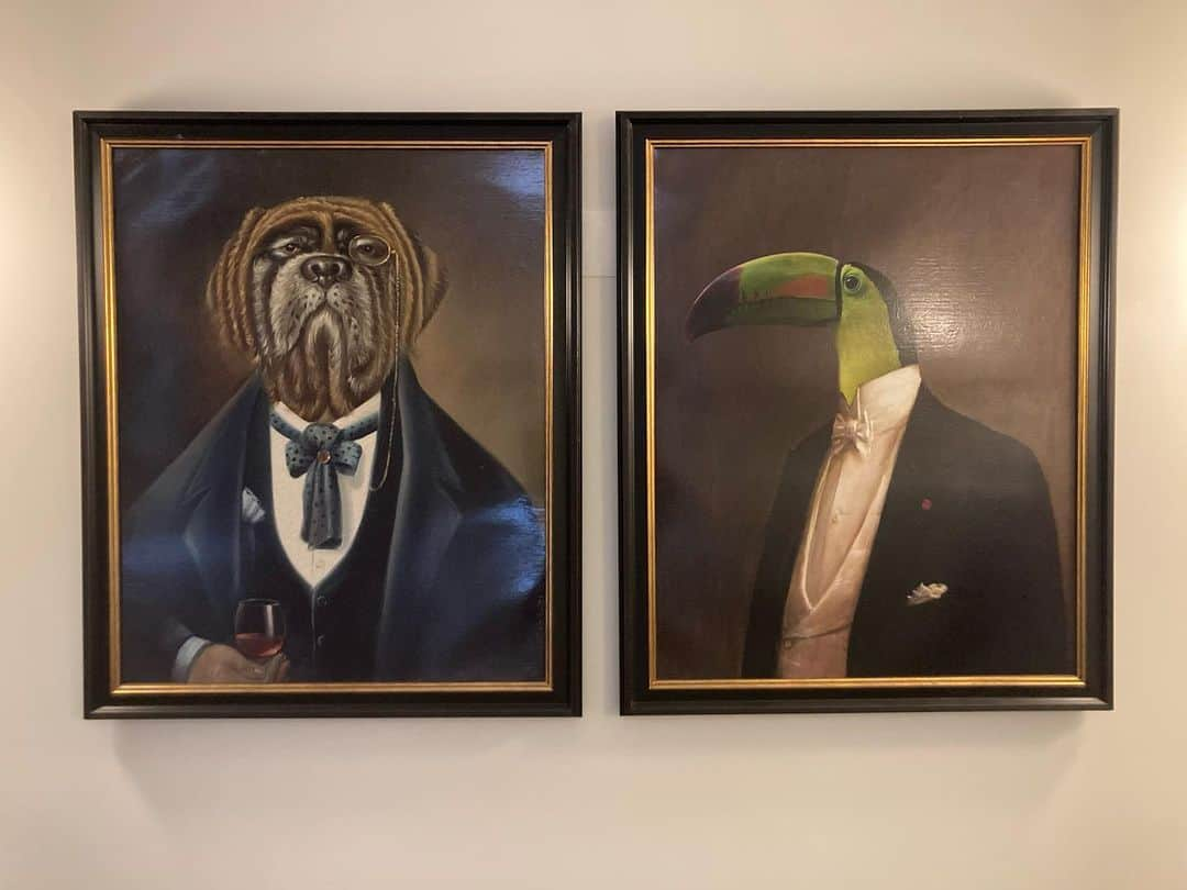 シーマス・デヴァーさんのインスタグラム写真 - (シーマス・デヴァーInstagram)「The illustrious Mr. Bulldog and Mr. Toucan, Mssrs of the Casa do Palácio, Sintra.」6月28日 18時57分 - seamuspatrickdever