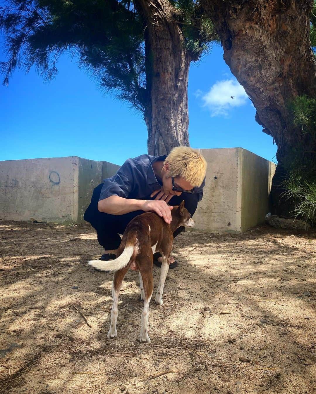 窪田正孝のインスタグラム：「🤙🌏🌴🐕」