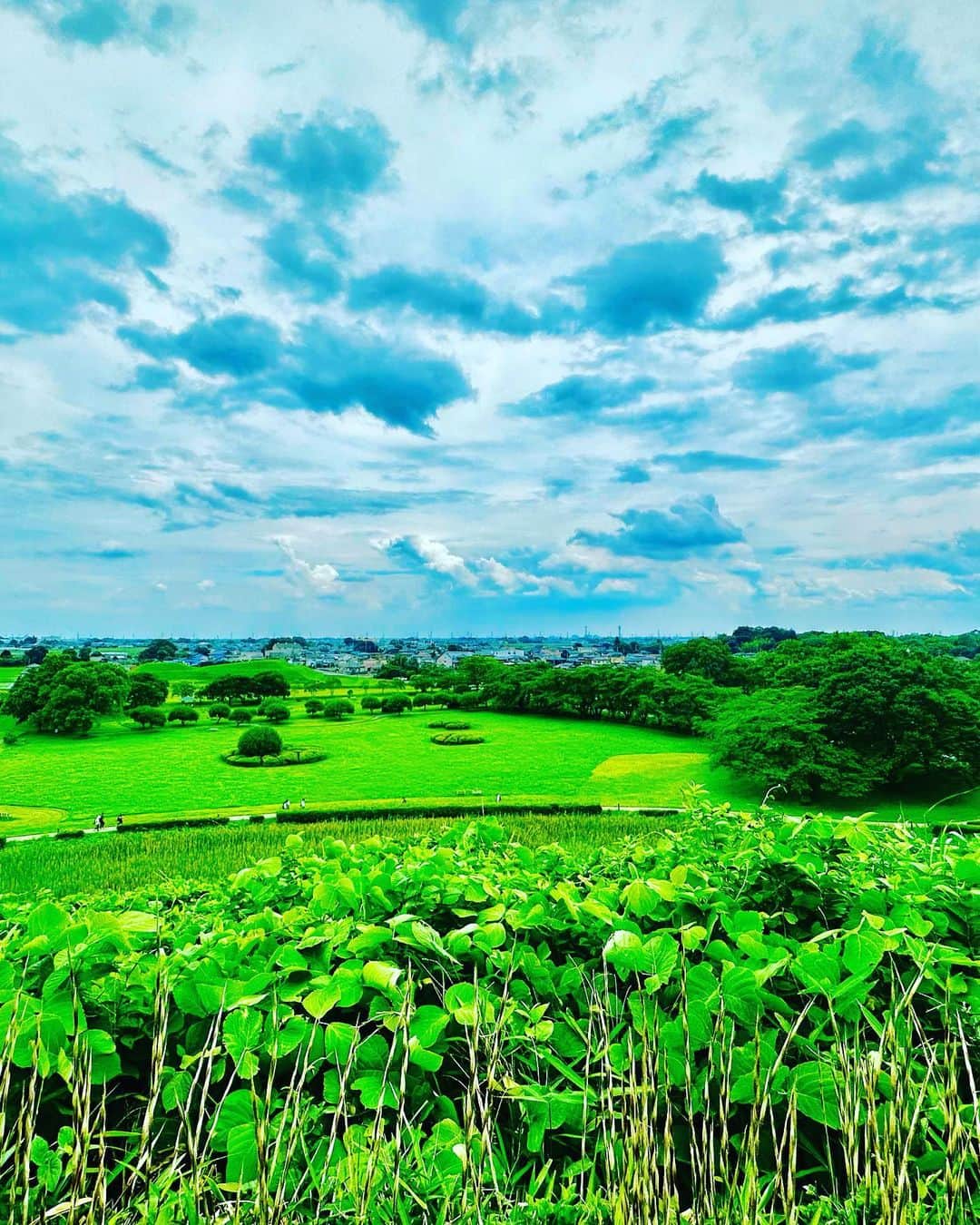 谷川じゅんじさんのインスタグラム写真 - (谷川じゅんじInstagram)「History, nature and craftsmanship. 古墳がいっぱい、蓮が咲き乱れ、ものづくりと歴史があふれてる埼玉県行田市。初めて訪れた郊外の街は予想外の驚きがいっぱい。あの映画も、あのドラマもここだったのかーと感嘆然り。近日放送ブラタモリな散策も最高でした。#goodvibesonly #goodneighbors #thisisjapan」6月28日 12時17分 - junjitanigawa