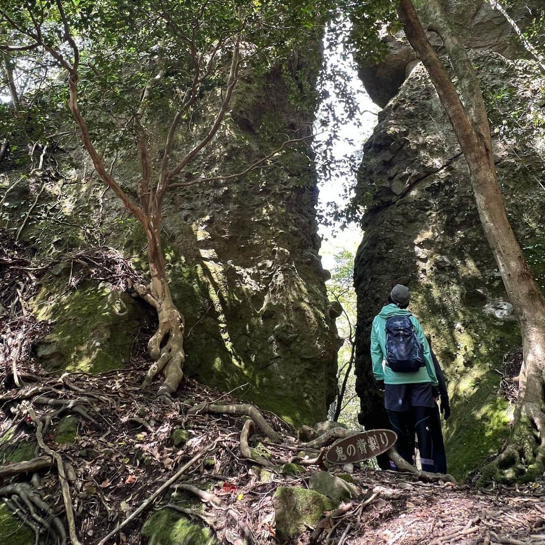 川上麻衣子さんのインスタグラム写真 - (川上麻衣子Instagram)「先週より更に更に厳しい登山。間も無くオンエアーです！  https://www.nhk.jp/p/ts/NLKZP1Q6Y7/」6月28日 12時19分 - kawakami.maiko
