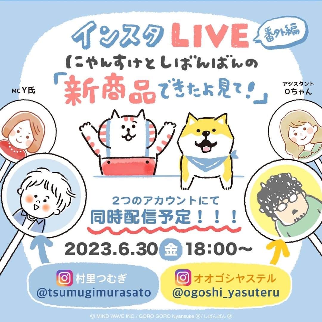 オオゴシヤステルのインスタグラム：「☀️インスタLIVE［番外編］☀️  今週 6/30（金）18：00から  しばんばんとにゃんすけの新商品がたくさんできたので、久々にインスタLIVEやりまーす🎥  今回は・・ たくさんリクエストいただいててやっと実現した食器類や、コンビニコーヒーもすっぽり入るタンブラーなどをご紹介していきます☕️  今回はこちらのアカウント @ogoshi_yasuteru と 村里つむぎアカウント @tsumugimurasato  の２つで同時配信！  4人でやるよ〜👩🏻‍🦰🧑🏻‍🦰🥸👩🏻ﾄﾞｷﾄﾞｷ…  お楽しみに〜〈ฅ `ᴥ´ ฅ〉(=| ´ㅅ` |=)  #しばんばん #shibanban #むちころばんばん #muchicorobanban #微笑柴犬 #柴犬 #shibainu #しばいぬ #オオゴシヤステル #ごろごろにゃんすけ #gorogoronyansuke #マインドウェイブ #mindwave #村里つむぎ #猫 #ねこ #ネコ #cat」