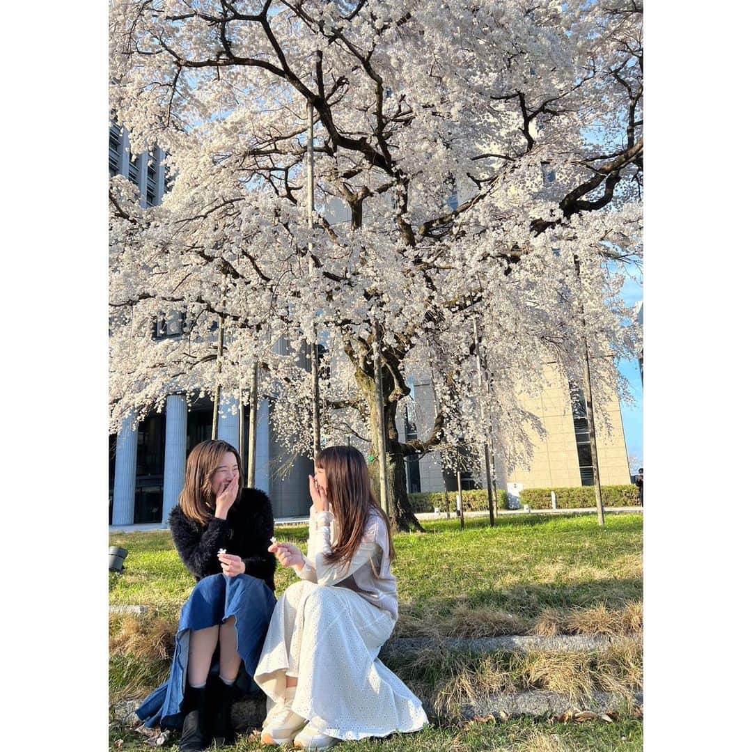 のインスタグラム：「【SOKA Photo Contest 2023】Prise-winning photographs⑤📸 #discoversoka #sodaigram #sodaipictures #sokauniversity #創価大学 #hachioji #八王子 #tokyo #東京 #campus #キャンパス #university #大学 #students #学生」