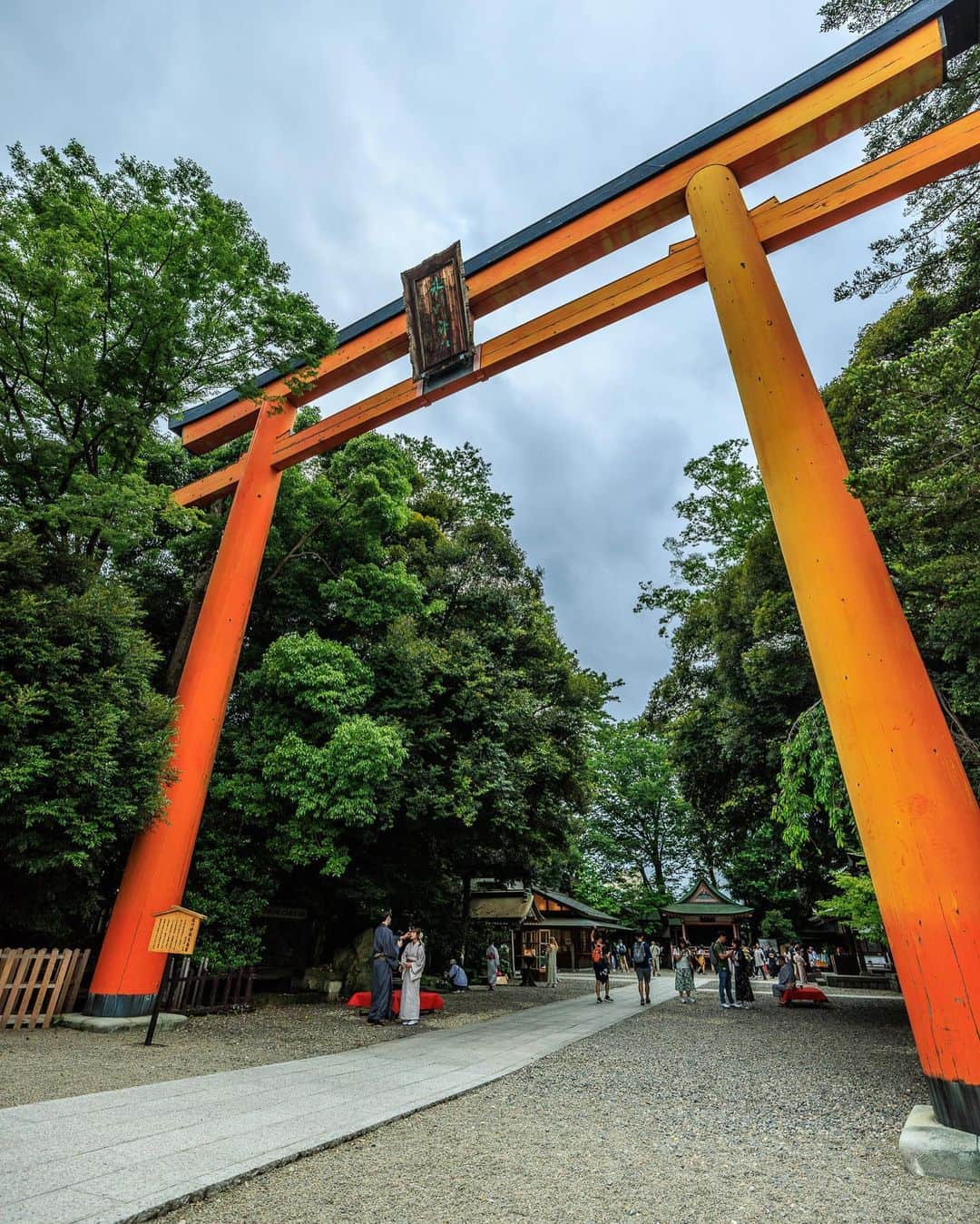 SHOCK EYEさんのインスタグラム写真 - (SHOCK EYEInstagram)「川越氷川神社✨  僕が訪れた日は参拝客でかなり賑わっていた。 鳥居前の棚に6月は「かざぐるま」が設置されていて、時折吹く風に風車が気持ちよく回っていたよ。 なんか風情があっていいね。  ちなみに7月からは風鈴が設置されるよ。  素戔嗚尊が祀られているこの神社には、皆の願いの書かれた絵馬のトンネルや、8の字を描くように回るとよいとされる御神木。 木造では最大級の大鳥居など、見どころが沢山＾＾  僕のおすすめは本殿の彫り物。 柵から覗き込む感じでしか見れないけれど、是非見てほしい。 はるか昔の職人達の魂のこもった仕事を感じることができるよ。  そしてせっかくなら、 小江戸にもよって食べ歩き✨ 最高だよ。  #川越氷川神社 #小江戸 #神社 #shrine」6月28日 13時34分 - shockeye_official