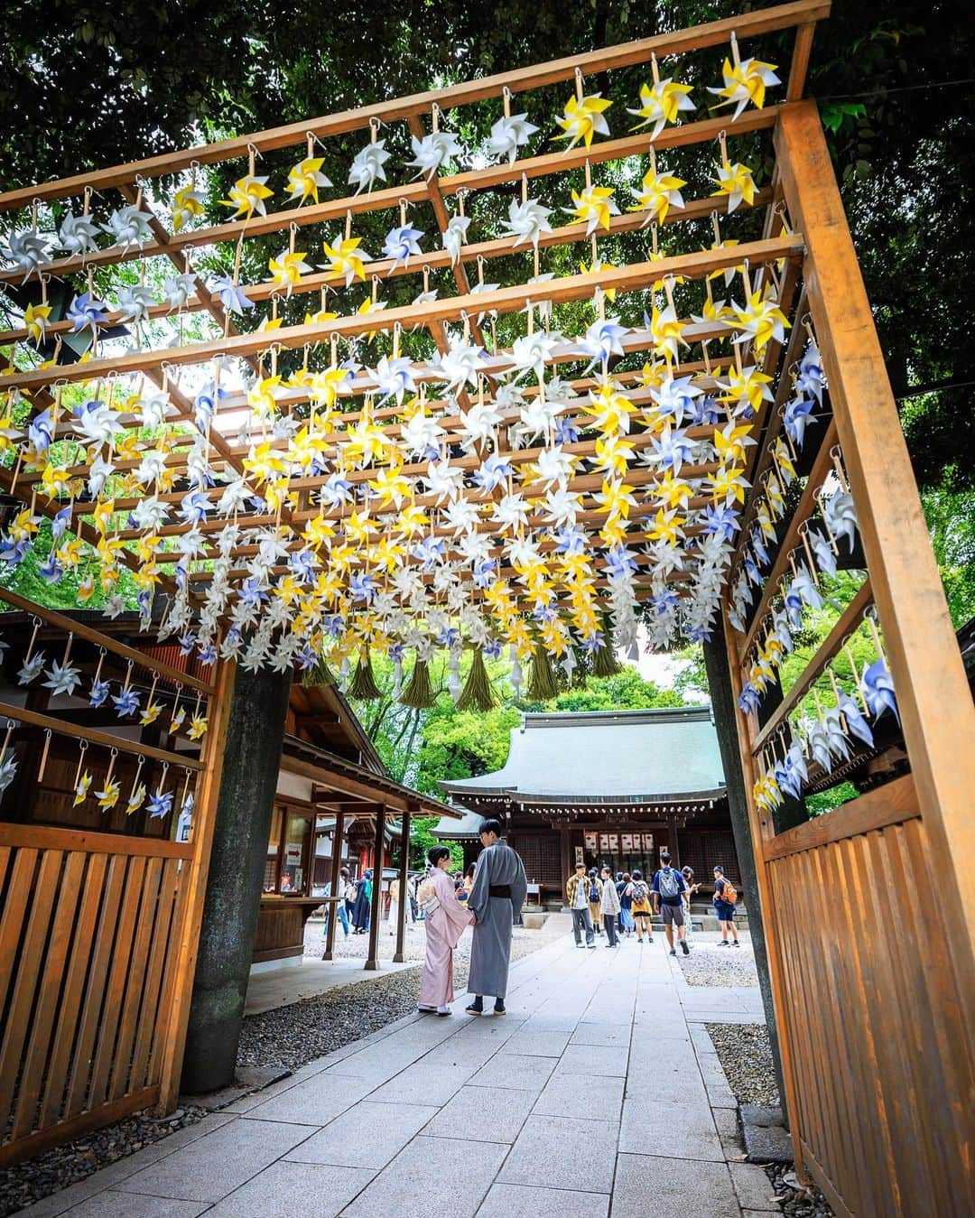 SHOCK EYEのインスタグラム：「川越氷川神社✨  僕が訪れた日は参拝客でかなり賑わっていた。 鳥居前の棚に6月は「かざぐるま」が設置されていて、時折吹く風に風車が気持ちよく回っていたよ。 なんか風情があっていいね。  ちなみに7月からは風鈴が設置されるよ。  素戔嗚尊が祀られているこの神社には、皆の願いの書かれた絵馬のトンネルや、8の字を描くように回るとよいとされる御神木。 木造では最大級の大鳥居など、見どころが沢山＾＾  僕のおすすめは本殿の彫り物。 柵から覗き込む感じでしか見れないけれど、是非見てほしい。 はるか昔の職人達の魂のこもった仕事を感じることができるよ。  そしてせっかくなら、 小江戸にもよって食べ歩き✨ 最高だよ。  #川越氷川神社 #小江戸 #神社 #shrine」