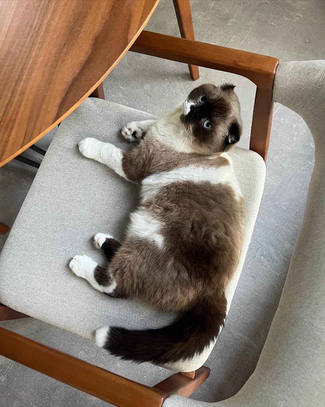 マリーナルイバルボサさんのインスタグラム写真 - (マリーナルイバルボサInstagram)「Um álbum aleatório com pedaços de vida real que provavelmente não vai ter engajamento sendo postado as 2 da manhã mas que eu tô afim de postar agora. Fim 🙃」6月28日 14時08分 - marinaruybarbosa