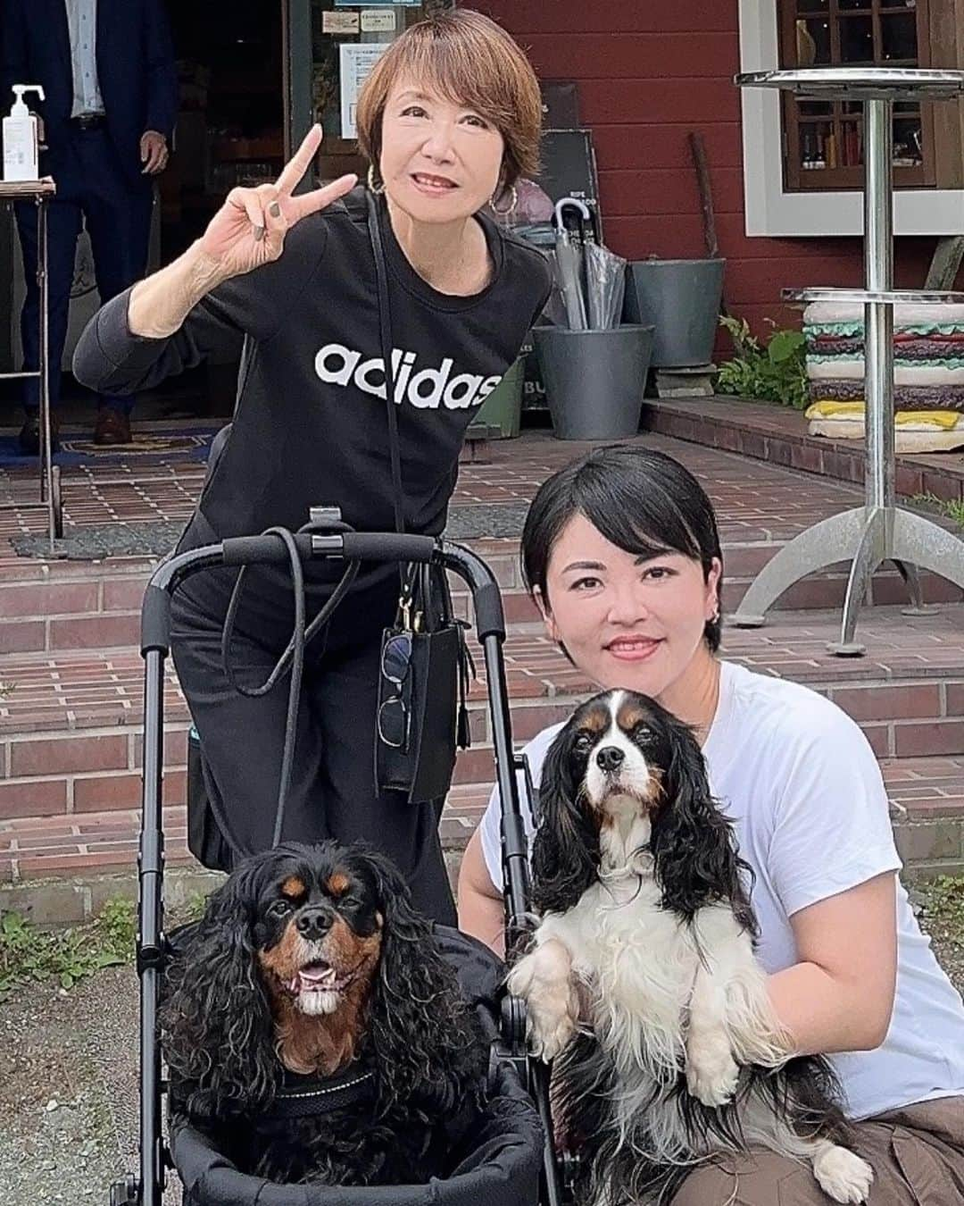 奈美悦子さんのインスタグラム写真 - (奈美悦子Instagram)「山中湖、河口湖に行って来ました。東京は暑い🥵 #河口湖 #山中湖 #キャバリア #キャバリア友達 #お泊まり #楽しい #食べ過ぎ #美味しい物は幸せ #キャバリアキングチャールズスパニエル #ブラックタン #愛犬#可愛い」6月28日 14時16分 - nami.etsuko