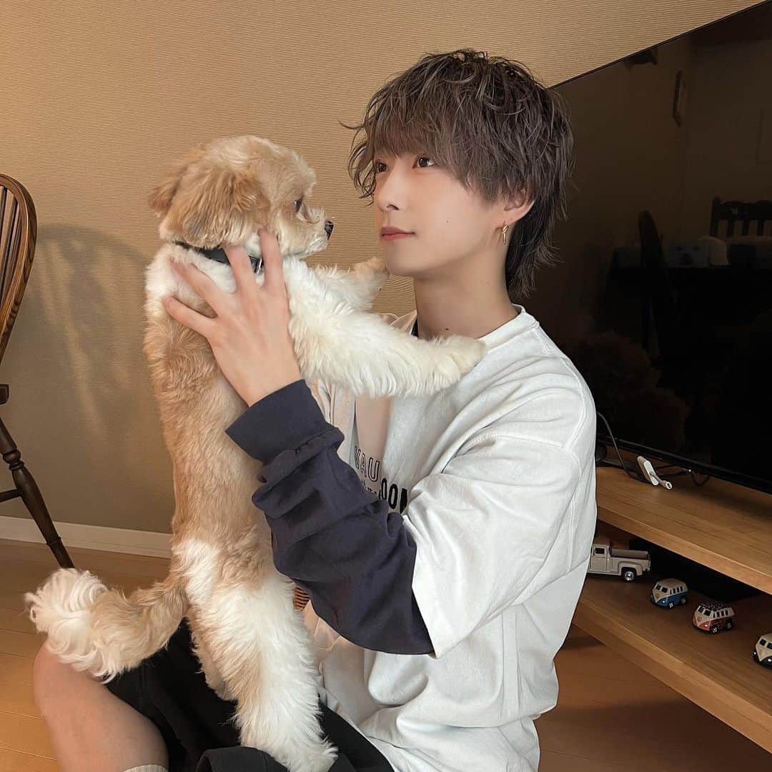 椚三波斗さんのインスタグラム写真 - (椚三波斗Instagram)「前髪ありの写真お待たせしました🐶」6月28日 14時58分 - 9bic_minato