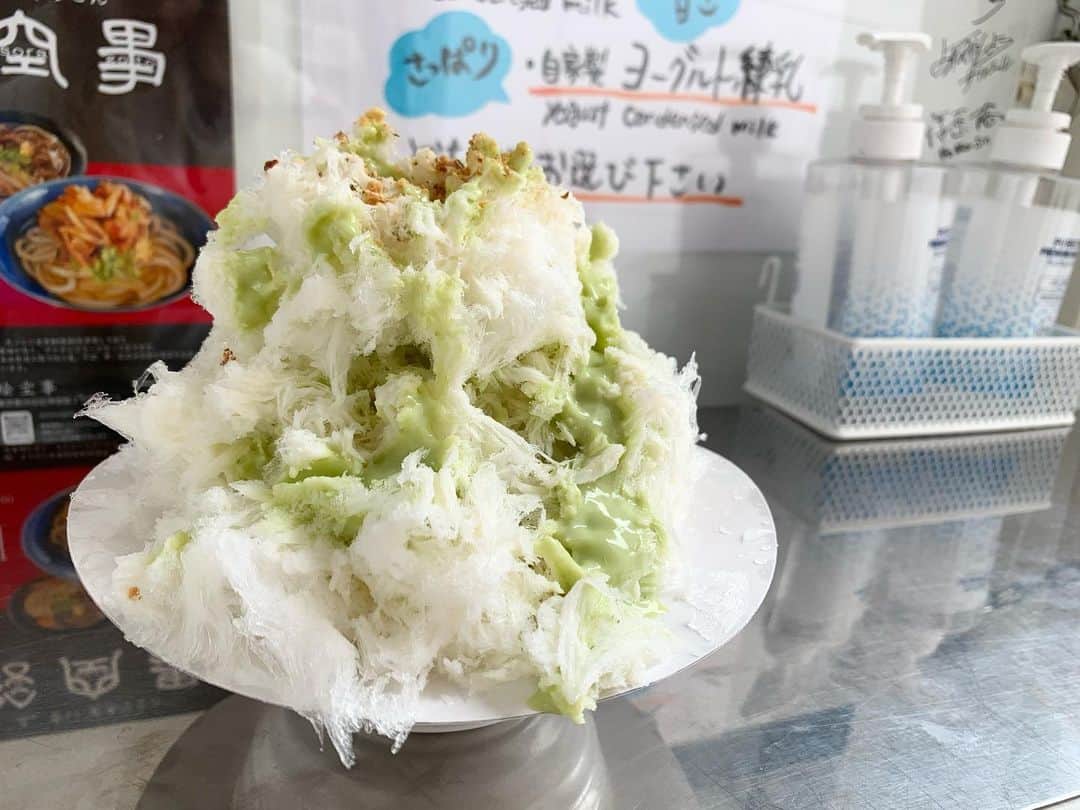 原田麻子のインスタグラム：「アボカドクリーム  今年のたりきほんがん堂さん。行ったあとに、 残念ながら閉店が決定…とのお知らせ。  キッチンカーが毎年同じところでひと夏を過ごすこと、 いろんな事情があって、 理不尽な思いや いろんな思いもありつつも  社会全体で見た時に 昔ながらというか こういう、ぽつんと現れる 素敵な場所が失われてしまうのはかなしい。  ちなみに、 私はほぼ100%の確率で、 売り切れの札をひっくり返してもらっていい？って言われます。 最後の一杯だったんだ、運が良かったなと思ってパタと札をひっくり返した。  だけのことなのに、  バイト代、って言って、 五十円もらった。  みんなにそうしてるんだとおもう、去年も、おととしも、そうだったから。  なんかね、申し訳ないつつも、おだちんをもらうことって、大人になってからないじゃん？  なんだかじわじわ嬉しくて。  うちの店は、 当時は並んでもらっている間に閉店になる場合は、1番後ろの人に、もし後から人が並んでしまったら閉店みたいですよと伝えてもらってたんだけど、  そのことがあってから、 たりきほんがん堂さんを見習って、 最後の人に、ごめんなさい誰か来ましたか？って聞いて、"お仕事"してもらったら、百円をバイト代ですってお支払いするようにしたんだ。(もらってないよの人はごめんなさい、この嬉しさがあってから始めたので)  人を断るって嫌な仕事だし。  今は移転してそういうことも無くなったんだけど。  お客さんも、きっと私と同じ気持ちになるだろうって思ったんだよね  あとタダでもらったんじゃなくて、 正真正銘、本来自分がやる事じゃないことをしてくれたわけで。 それが意外な形で返ってきた！ってなると、 なんかサプライズみたいで嬉しくなるじゃん。  たった五十円百円だけどさ、 金額じゃなくてサプライズが嬉しいんだよね  あと キッチンカーの中に "今まで教えた中で1番ヘタ❗️"って天然氷の蔵元さんからの卒業証書？が堂々掲げてあるのがめちゃくちゃ好きです。  移転して再オープンを期待してます！！」
