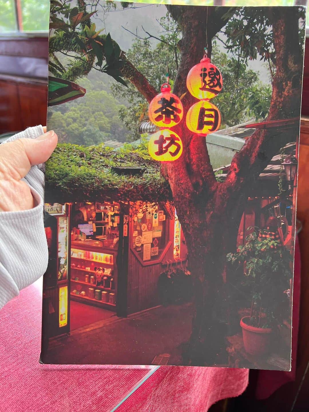 紫苑みやびさんのインスタグラム写真 - (紫苑みやびInstagram)「猫空へ来て、茶藝館でランチです！ ランチセットが…量が多くてねぇ💦」6月28日 15時09分 - shion_miyabi