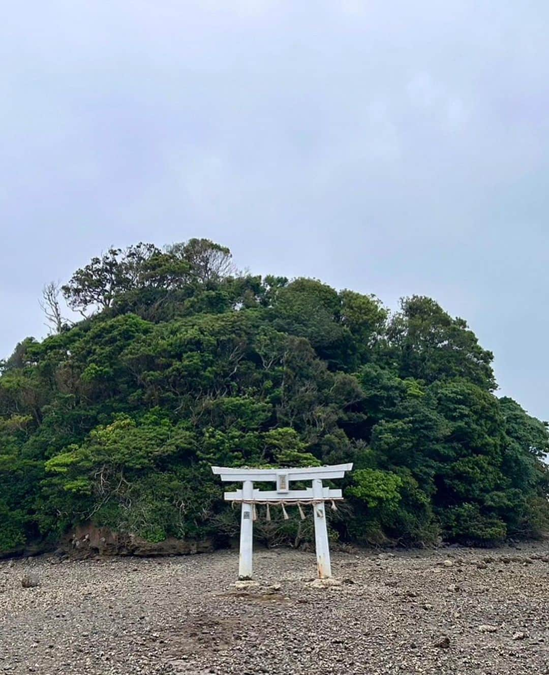 森マリアさんのインスタグラム写真 - (森マリアInstagram)「壱岐⑦  潮がひいたときだけ辿り着ける小島神社に行ってきました！ その脇で潮干狩りをしていたおじちゃんと一緒に貝探し！ 貝は見つけられなかったけど、 小さなカニを捕まえたよ🦀 天ぷらにすると美味しいらしいけど、、 そっと海に帰しておきました😌  これにて壱岐の旅日記はおしまい！ とっても自然が綺麗で素敵な場所でした✨ また遊びに行きたいな〜 みんなも是非行ってみてね！！  #壱岐 #小島神社 #旅日記」6月28日 16時13分 - maria_mori_official