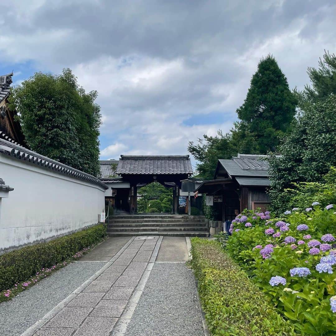 吉井明子さんのインスタグラム写真 - (吉井明子Instagram)「先週土曜日放送の「撮ってきた！📸」は 京都の妙心寺、東林院さんのお庭に咲く 沙羅双樹の名でも知られる ナツツバキでした。  朝には咲いて夕方には花が落ちてしまう… その儚さが「平家物語」の冒頭にも出てくるように、盛者必衰、諸行無常をあらわしているようでした。  この時期だけの花を見に来るたくさんの方で賑わいながらも、静けさとあたたかさのある大好きなお寺です。 また来年も特別拝観に伺えたら、と思います。  #沙羅双樹  #沙羅双樹の花を愛でる会 #ナツツバキ #京都 #妙心寺 #東林院 #kyoto #travelphotography #trip #temple #気象予報士 #気象キャスター #weatherforecaster #기상캐스터　#氣象主播 #吉井明子 #bs4k #週刊4Kふるさとだより #nらじ #マイあさ」6月28日 16時52分 - akiko_yoshii_sunny_rain