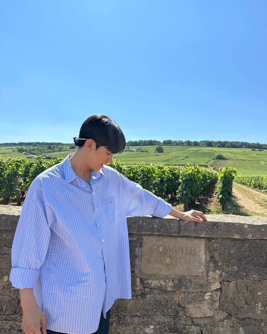 パク・ソロモンのインスタグラム：「로마네 꽁띠 in 부르고뉴 🇫🇷🍇🍷」