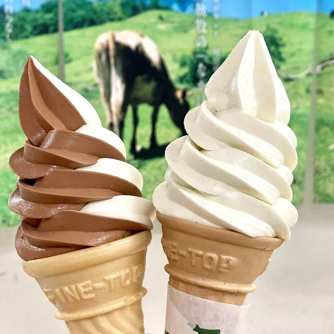 daimarusapporoさんのインスタグラム写真 - (daimarusapporoInstagram)「魅惑のアイス＆スイーツ大集合🍦❤ 7階 催事場で【夏のアイス&スイーツフェア】を開催中🍦  汗ばむ気温が続く札幌🥵 そんな時こそ楽しみたい、冷たくて甘～いスイーツが全国から大集合しました🎊  🍦アイス🍦 今回も初出店のショップが盛りだくさん！ 野菜を使ったジェラートにふんわりかき氷、おいしいミルクのソフトクリームまで❤ フレーバーもスタイルも個性豊かで、とってもワクワクします🥰  🍰スイーツ🍪 東京のティラミス専門店、推し活にもぴったりなクロッフル、プリンにカヌレにクッキーまで❤ こだわりのミルクを使ったヨーグルトなどのさっぱりスイーツも見逃せません👀  🍛スパイスフードも🔥 会場内では、冷たくて甘いアイスと一緒に楽しみたいスパイスフードも登場！ 金沢カレーでおなじみの〈ゴーゴーカレー〉(9枚目)、ヤンニョムチキンや胡椒餅といったエスニックフードも登場🔥 あまいと辛いの無限ループが皆さんをお待ちしています😎  ぜひ会場にお越しください🍰🍦🍛❤  【夏のアイス&スイーツフェア】 6月28日(水)→7月3日(月) 7階 催事場 午前10時〜午後8時 ※最終日は午後6時閉場  詳しくは、ハイライト(@daimarusapporo)から特設サイトをご覧ください🍦  【掲載画像】1枚目から ①左下から時計回りに 〈WAFLA クロッフル専門店〉推し活クロッフル 〈More Felicia〉大とろ牛乳 〈なかほら牧場〉自然放牧ソフトクリーム 〈パティスリーヤナギムラ〉ヤナギムラのフローズンしろくま 〈しまなみドルチェ〉ジェラート ②〈かき氷 旅どり〉いちごかき氷 ③ティラミス専門店〈BENE REGALO〉 ④〈野菜ジェラート専門店 なるこりん〉ルビーチョコレートと桃とルバーブのジェラート ⑤〈なかほら牧場〉自然放牧ソフトクリーム ⑥〈岩瀬牧場 牧場の恵〉水切り生ヨーグルト〜塩はっさく ⑦〈K.L.I.M〉オリジナル生黒ごま北海道ミルクソフトクリームミックス ⑧〈ジェニーベーカリー〉クッキー詰合せ ⑨〈ゴーゴーカレー〉ロースカツカレー ⑩〈DAEBAK KITCHEN〉キンパ、ヤンニョムチキン  #大丸札幌 #夏のアイススイーツフェア  #札幌スイーツ #札幌アイス #札幌ソフトクリーム #札幌かき氷 #ソフトクリーム #ジェラート #お取り寄せスイーツ #ゴーゴーカレー #札幌駅」6月28日 17時15分 - daimarusapporo