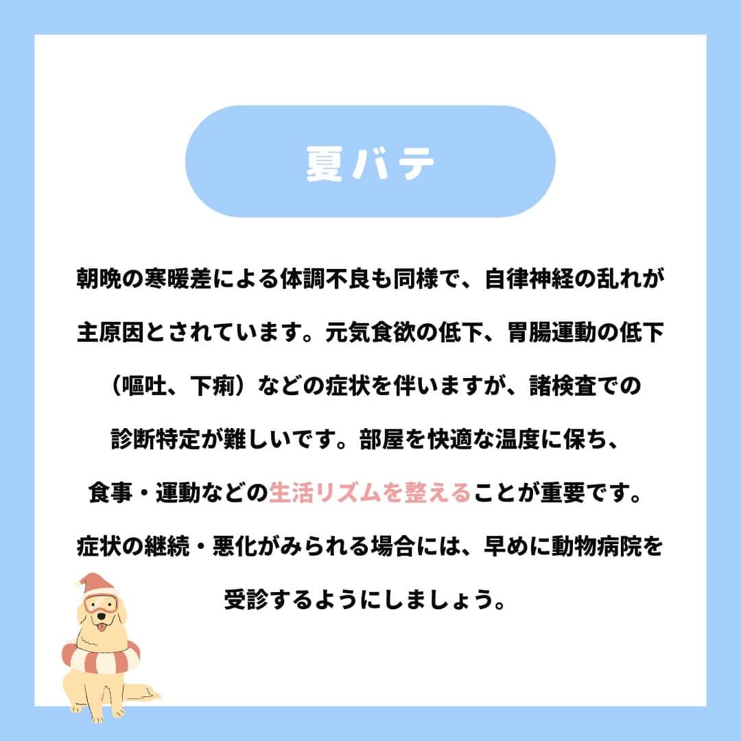 PET'S ALL RIGHT 【公式】さんのインスタグラム写真 - (PET'S ALL RIGHT 【公式】Instagram)「. @pets_all_right👈他の投稿はこちらから！  ＜夏に気を付けたい病気　～ワンちゃん編～＞ ワンちゃんは暑さに弱い動物なので、暑さ対策は必須です💡 どういったことに気をつけるべきか、本投稿を参考にしてみてください。 飼い主さんもワンちゃんも暑い夏を一緒に乗り切りましょう🌞  熱中症対策については過去に記事を投稿しておりますので、ぜひチェックしてみてください👀❣️  ---  💎自己紹介  ⭐️ペットとの生活における豆知識 ⭐️私、僕たちのわんちゃんねこちゃん ⭐️獣医師、トレーナーによるアドバイス  などをご紹介しています  「この情報役に立つ！」 「私・僕たちのわんちゃんねこちゃんを紹介してほしい！」 と思ったそこのあなた！！  いいね・コメント・保存・フォローお待ちしております🔥  他にもいろいろ役立つ情報やかわいいわんちゃんねこちゃんをご紹介しているので、プロフィールからチェックしてみてね！！ @pets_all_right  姉妹アカウントWan!Passでは ワンちゃんとのお出かけ・旅行情報を発信中🚗³₃ @wanpass2022  ---  #ペッツオーライ #pet #pets #dog #犬 #いぬ #いぬすたぐらむ #ふわもこ部 #愛犬 #わんこ #犬のいる暮らし #犬のいる生活 #いぬのきもち #犬好きな人と繋がりたい #inustagram #ペット #いぬバカ部 #いぬら部 #わんこなしでは生きていけません会 #わんこ部 #わんこ大好き #犬部 #犬好き部 #いぬだいすき #いぬがいる暮らし #わんちゃん好きな人と繋がりたい #わんちゃんのいる暮らし #わんちゃん好きと繋がりたい #犬スタグラム #いぬぐみ」6月28日 18時00分 - pets_all_right