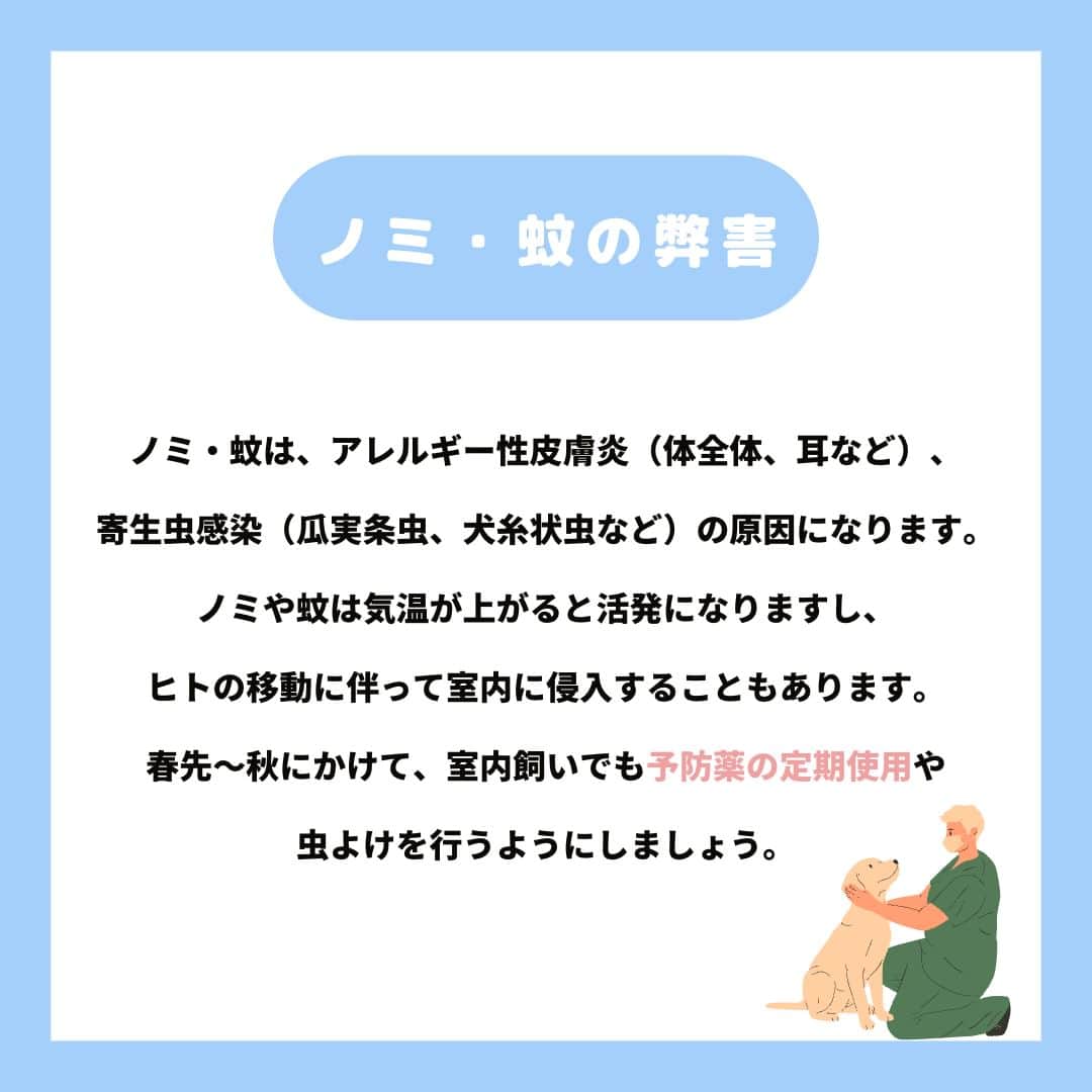 PET'S ALL RIGHT 【公式】さんのインスタグラム写真 - (PET'S ALL RIGHT 【公式】Instagram)「. @pets_all_right👈他の投稿はこちらから！  ＜夏に気を付けたい病気　～ワンちゃん編～＞ ワンちゃんは暑さに弱い動物なので、暑さ対策は必須です💡 どういったことに気をつけるべきか、本投稿を参考にしてみてください。 飼い主さんもワンちゃんも暑い夏を一緒に乗り切りましょう🌞  熱中症対策については過去に記事を投稿しておりますので、ぜひチェックしてみてください👀❣️  ---  💎自己紹介  ⭐️ペットとの生活における豆知識 ⭐️私、僕たちのわんちゃんねこちゃん ⭐️獣医師、トレーナーによるアドバイス  などをご紹介しています  「この情報役に立つ！」 「私・僕たちのわんちゃんねこちゃんを紹介してほしい！」 と思ったそこのあなた！！  いいね・コメント・保存・フォローお待ちしております🔥  他にもいろいろ役立つ情報やかわいいわんちゃんねこちゃんをご紹介しているので、プロフィールからチェックしてみてね！！ @pets_all_right  姉妹アカウントWan!Passでは ワンちゃんとのお出かけ・旅行情報を発信中🚗³₃ @wanpass2022  ---  #ペッツオーライ #pet #pets #dog #犬 #いぬ #いぬすたぐらむ #ふわもこ部 #愛犬 #わんこ #犬のいる暮らし #犬のいる生活 #いぬのきもち #犬好きな人と繋がりたい #inustagram #ペット #いぬバカ部 #いぬら部 #わんこなしでは生きていけません会 #わんこ部 #わんこ大好き #犬部 #犬好き部 #いぬだいすき #いぬがいる暮らし #わんちゃん好きな人と繋がりたい #わんちゃんのいる暮らし #わんちゃん好きと繋がりたい #犬スタグラム #いぬぐみ」6月28日 18時00分 - pets_all_right