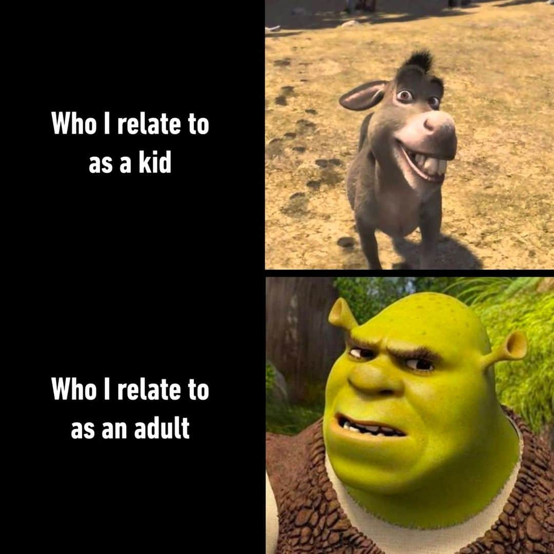 9GAGさんのインスタグラム写真 - (9GAGInstagram)「Shrek is love Shrek is life  - #childgood #adulthood #relatable #shrek #memes #9gag」6月29日 4時00分 - 9gag