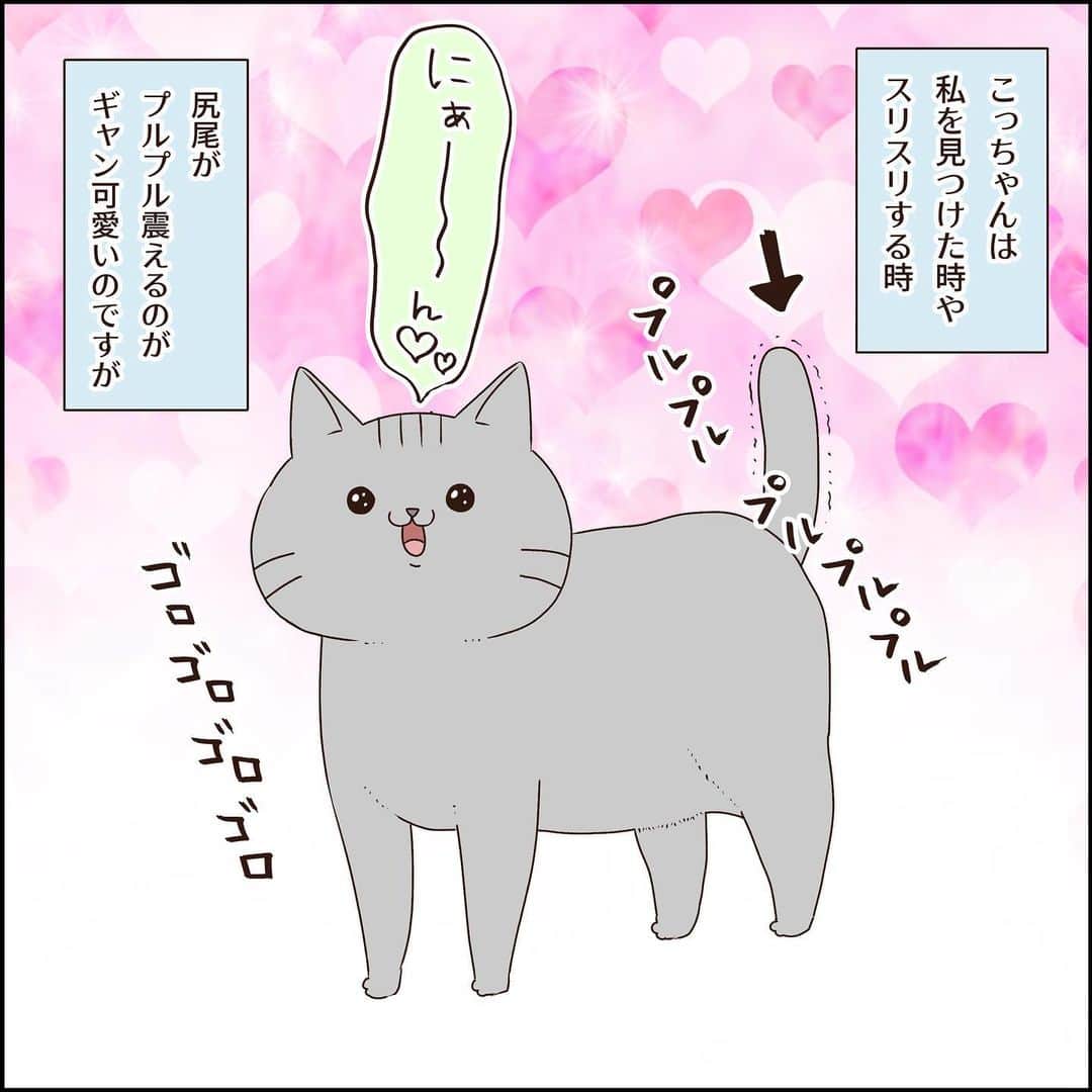 こじめのインスタグラム：「【プルプル】  かわいすぎんだろ…  嬉しくって尻尾プルプルしちゃうのは  流石にかわいすぎんだろぉ……  #猫漫画 #にゃんすたぐらむ  #保護猫 #灰猫  #猫のいる暮らし #catcomic」
