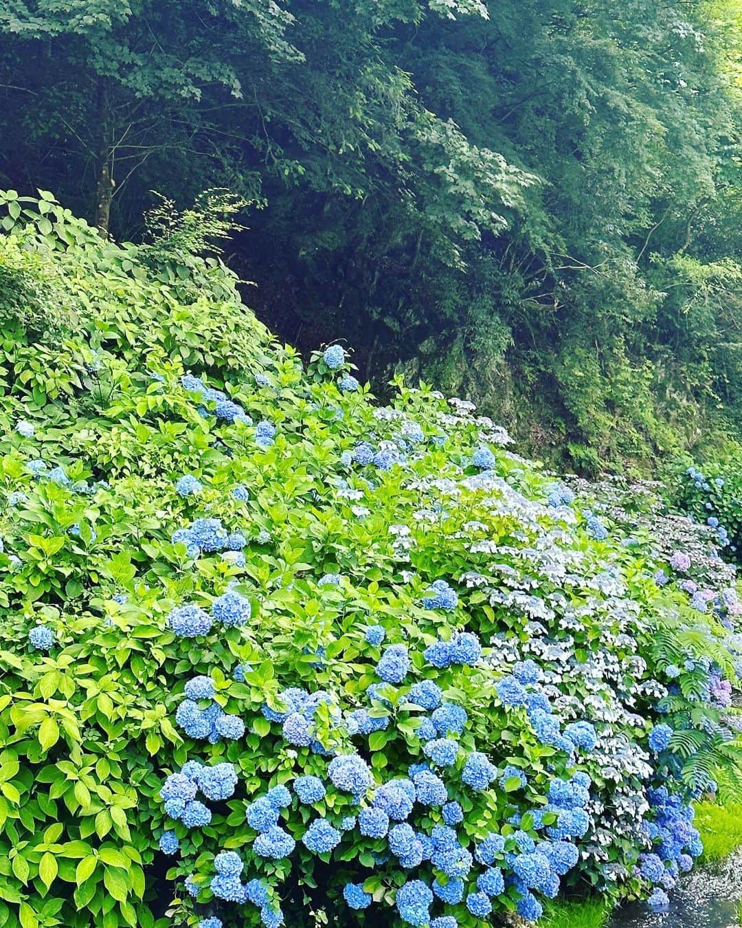 熊谷隆志さんのインスタグラム写真 - (熊谷隆志Instagram)「綺麗だった」6月28日 20時17分 - takashikumagai_official