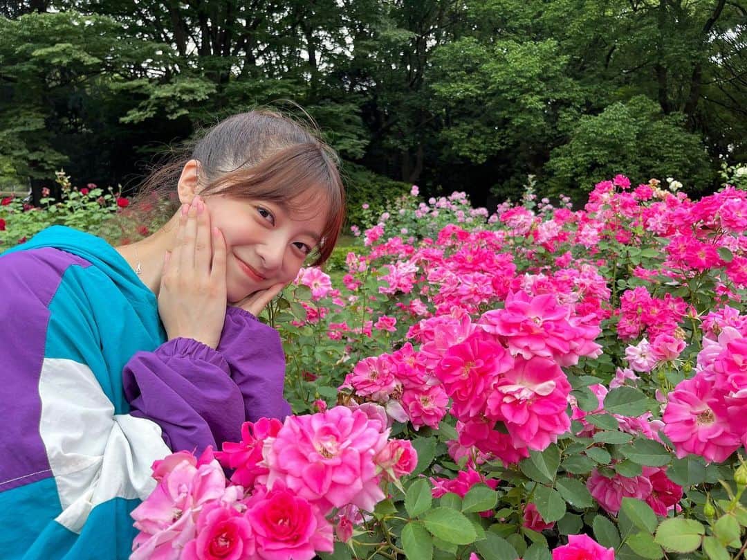菊池柚花さんのインスタグラム写真 - (菊池柚花Instagram)「. . . ピッチング練習をした帰りマネージャーさんと公園を歩いてたら、とっても綺麗なバラを発見🌹！！ 鮮やかなピンク色に心を奪われました💗  私の服がカラフルだったので、ちょっと色がケンカしちゃってますが…😂笑」6月28日 20時35分 - kikuchiyuuka