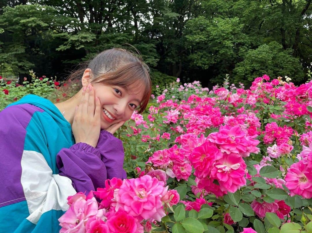 菊池柚花さんのインスタグラム写真 - (菊池柚花Instagram)「. . . ピッチング練習をした帰りマネージャーさんと公園を歩いてたら、とっても綺麗なバラを発見🌹！！ 鮮やかなピンク色に心を奪われました💗  私の服がカラフルだったので、ちょっと色がケンカしちゃってますが…😂笑」6月28日 20時35分 - kikuchiyuuka