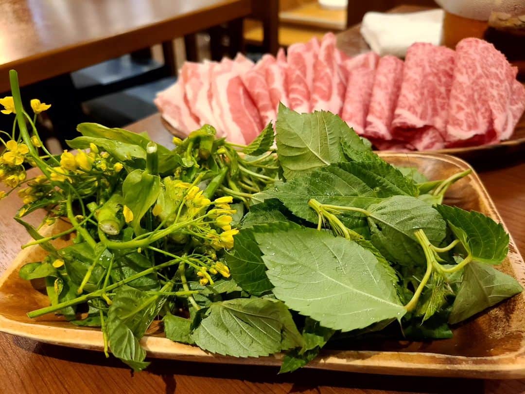 松本康太さんのインスタグラム写真 - (松本康太Instagram)「『しゃぶ仙』  美味しいしゃぶしゃぶ食べ飲み放題のお店！ もともとは高田馬場で「かがやき」と言う名前のお店でしたが、鷺ノ宮に移転して名前も「しゃぶ仙」にかわったのです。  店内も綺麗で広くなっててビックリ！ 変わりなくコスパ最高なお店。 店主が矢沢永吉さんの大ファンなので、永ちゃんのMV&曲が流れているところも前のお店から一緒！　  この日は美味しいモロヘイヤが入っていたのでめちゃくちゃおかわりしました(*´ー｀*)　  #鷺ノ宮#中野#しゃぶ仙#西武新宿線#しゃぶしゃぶ#食べ飲み放題#食べ放題#飲み放題#コスパ最高#豚肉#東京x#牛肉#和牛#モロヘイヤ#レギュラー松本#あるある探検隊#鷺ノ宮グルメ#しゃぶしゃぶ食べ放題」6月28日 20時37分 - aruarutankentai.matsumoto