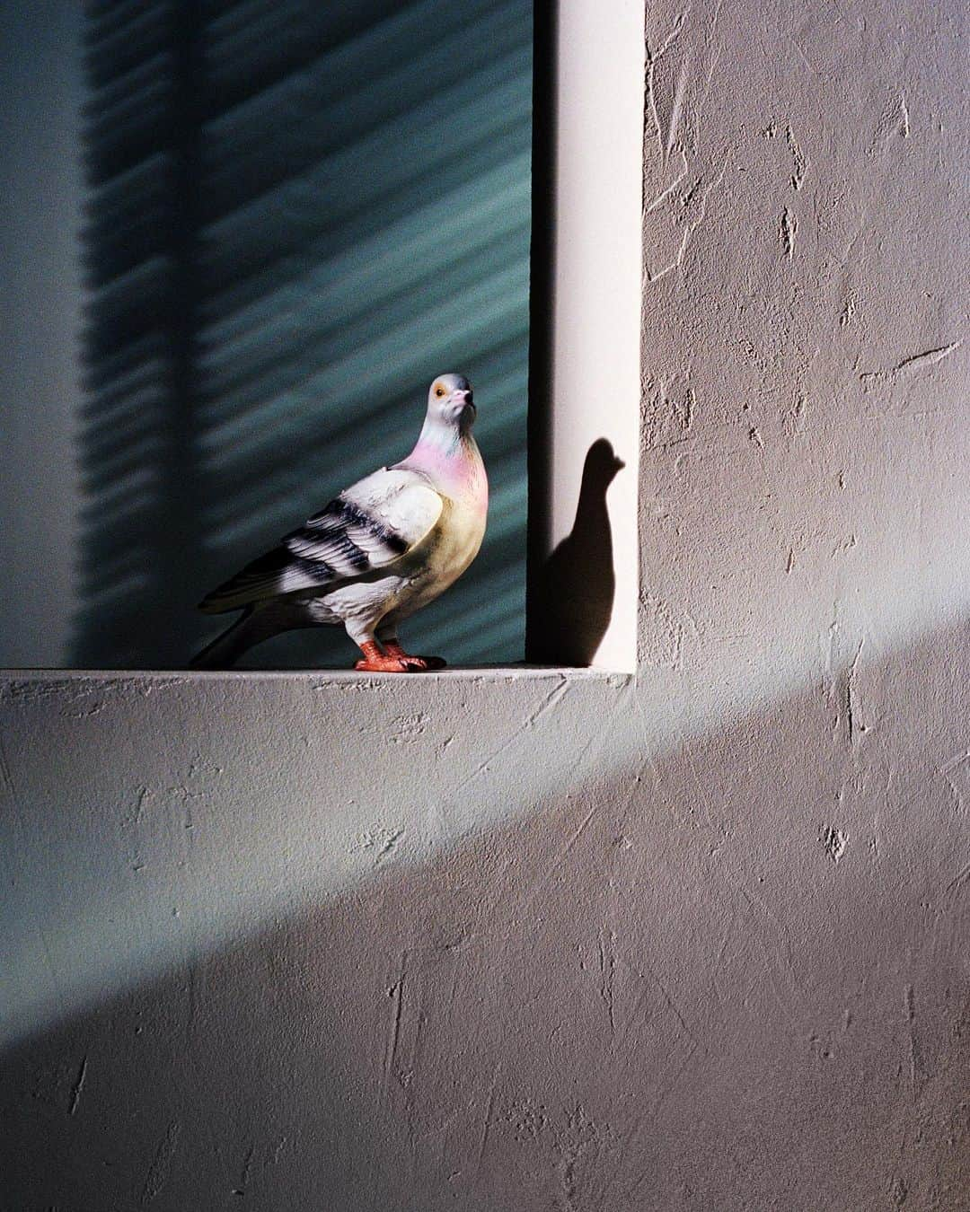 JWアンダーソンさんのインスタグラム写真 - (JWアンダーソンInstagram)「THE PIGEON CLUTCH ‘..And Just Like That’ , the Pigeon Clutch is back    Landed now at jwanderson.com, JW Anderson Soho in London and JW Anderson in Milan   JW Anderson Soho, 2 Brewer St., London W1F 0SA JW Anderson Milan, Via Sant’Andrea 16, Milano 20121」6月28日 20時54分 - jw_anderson