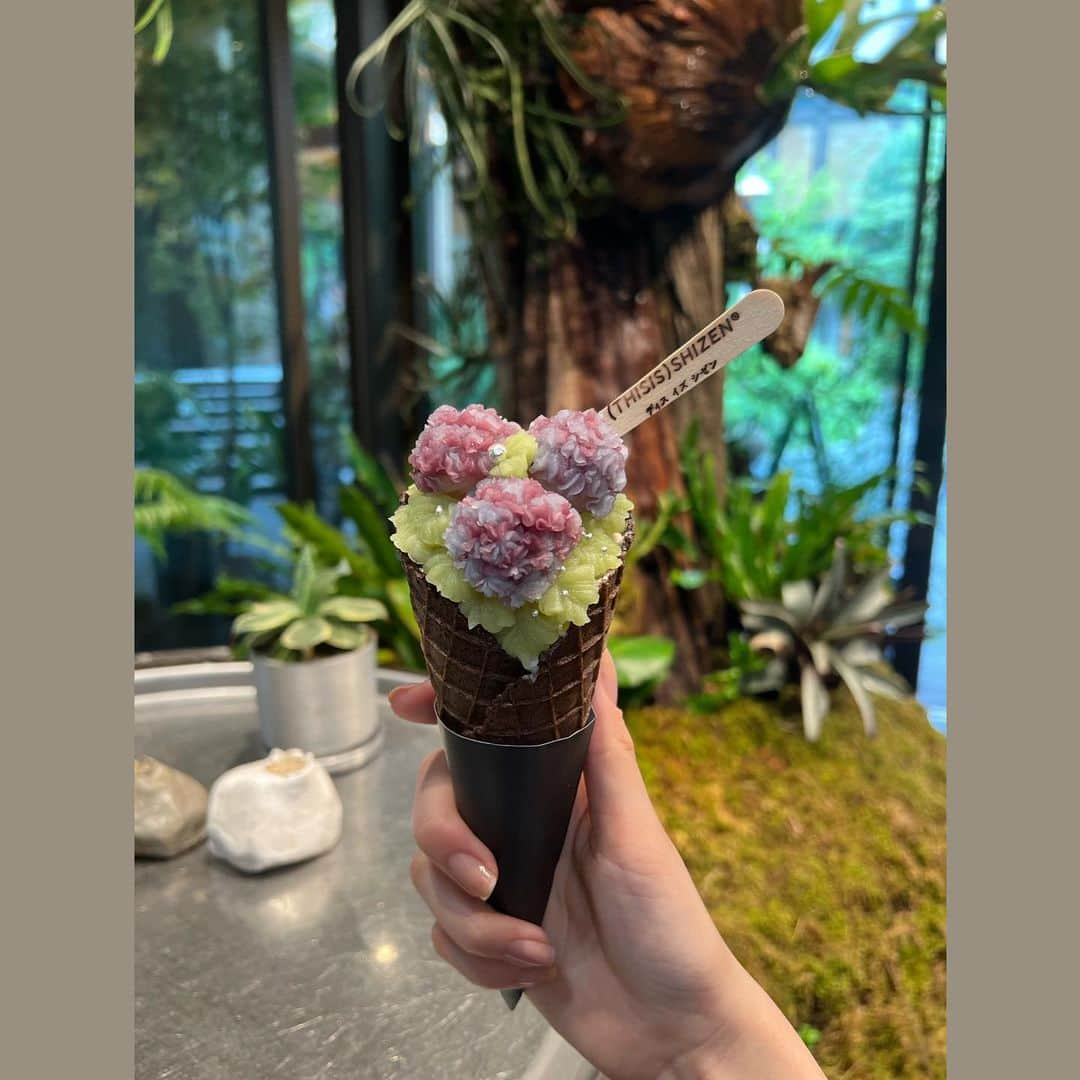 眞鍋杏樹のインスタグラム：「紫陽花のアイス🍨♡  #京都#関西 #thisisshizen #ディスイズシゼン #京都観光 #京都カフェ #カフェ巡り #紫陽花 #新風館 #新風館カフェ #烏丸御池 #烏丸御池カフェ #02 #02년생 #fyp」