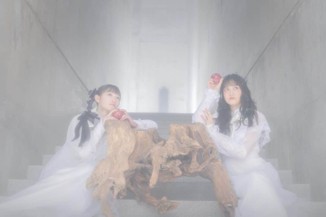 のインスタグラム：「L ━━━━━━━━━ o   harmoe 5th Single  「Love is a potion」  2023.10.11 OUT v ━━━━━━━━━ e  #𝒉𝒂𝒓𝕞𝕠𝕖 #岩田陽葵 #小泉萌香」