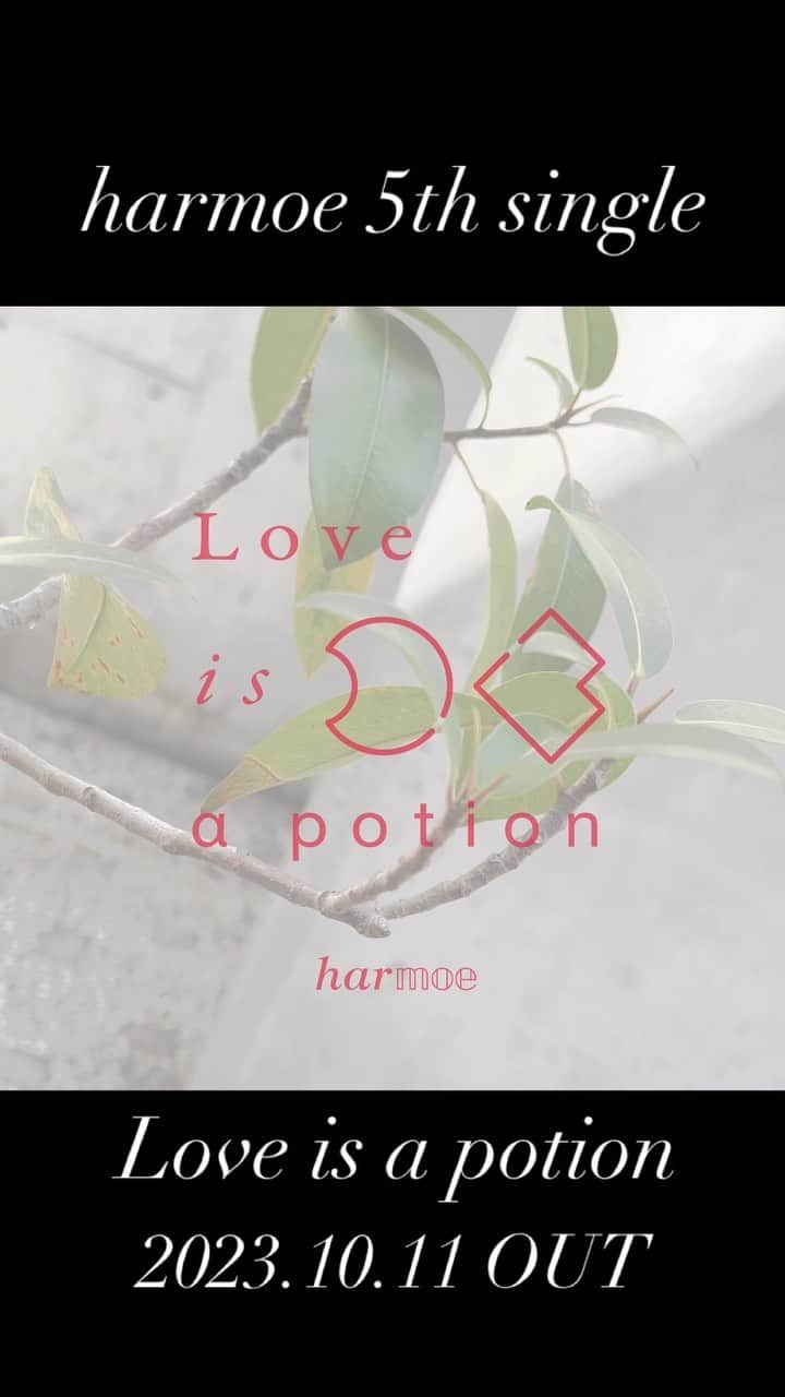 harmoeのインスタグラム：「L ━━━━━━━━━ o   harmoe 5th Single  「Love is a potion」  2023.10.11 OUT v ━━━━━━━━━ e  #𝒉𝒂𝒓𝕞𝕠𝕖 #岩田陽葵 #小泉萌香」