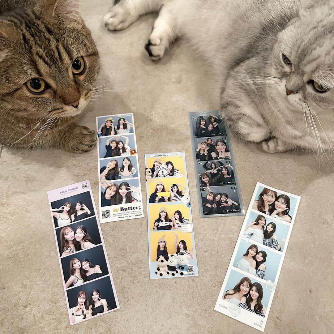 佐達ももこのインスタグラム：「韓国はプリクラ撮れるところが そこらじゅうに沢山あって、 しかもとても可愛いの😭🤍  日本みたいにオバケにならないし 画像保存に登録もいらない👻  画像も動画もQRから簡単に 保存できるのが最高🥰  だいたい5000ウォンくらいで お店によって被り物や小道具も豊富👌  思い出作りに最高だよね🤍 日本もこのスタイルになってほしい😗  最後のムービー、わたし小道具探してて ほぼいない🤣🤣🤣  #韓国#韓国旅行#韓国プリクラ#プリクラ」