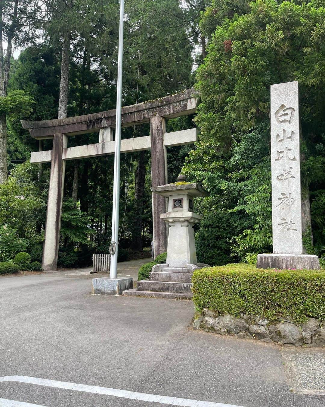 植田麻友美のインスタグラム：「白山比咩神社と金劔宮へ⛩  あわせて参拝するとてもいいとされてる神社⛩  白山比咩神社さんは、とても厳しいと言われてる神社。 御籤は確かに厳しいことが書かれてたけど 厳しさの中にきちんと優しさが溢れた神社さんでした⛩  金劔宮さんはとても静かでどっしりされてました！ 勝負事やお金にとてもご縁のある神社さん⛩  2社とも厳かで穏やかな神社さんでした⛩   #白山比咩神社  #金劔宮  #神社巡り」