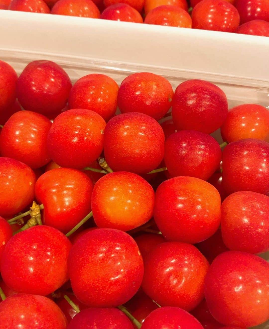 佐藤千晶のインスタグラム：「🍒❤️  #山形 #東北 #さくらんぼ #この時期の楽しみ」