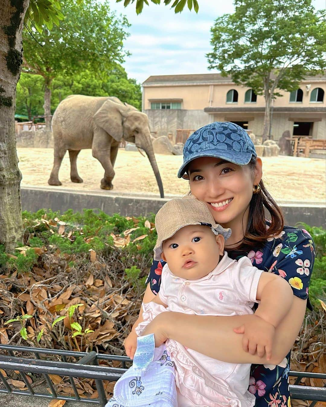 紗綾さんのインスタグラム写真 - (紗綾Instagram)「一歳になるまでに動物園🦁 と、いうことで #安佐動物公園 へ行って来たょ🐅  一歳までに動物園に行くことで 空気中に漂う菌に触れて 免疫力を高めることが出来るんだって✨ ※科学的根拠はわかりませんが😁  Baby生後2ヶ月違いの 仲良し家族と一緒に行って 大人も楽しめる動物園でした👶🏼🫶🏻  #動物園 #赤ちゃん #生後8ヶ月 #一歳までに動物園」6月28日 21時44分 - saaya_official_