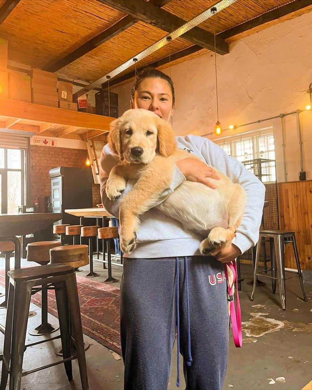 平山ララのインスタグラム：「Big… chunky… plumpy… puppy🐾🐶❤️  Doc says I’m super BIG for my ripe old age of 16 weeks💪  Probably from all the love and sleep I get… except when mum and dad are asleep because that’s when I know it’s party time. 😅💩💦🎉  I love them- I get to go everywhere they do🚗 ☕️🚶🏻‍♀️🏃🏽🐴 I just wish they weren’t so tired all the time🫠 Probably why we had to stop off at this coffee shop 🙄  #goldenretriever #dogsofinstagram #goldenretrieversofinstagram #dog #puppy #dogs #goldenretrieverpuppy #golden #goldenretrievers #goldensofinstagram #goldens #puppiesofinstagram #retriever #puppylove #dogstagram #dogoftheday #instadog #doglovers #goldenretrieverlove #doglover #doglife #retrievers #love #goldenpuppy #puppies #labrador #goldenretrieverlovers #pet #goldenretrieverworld #cute」