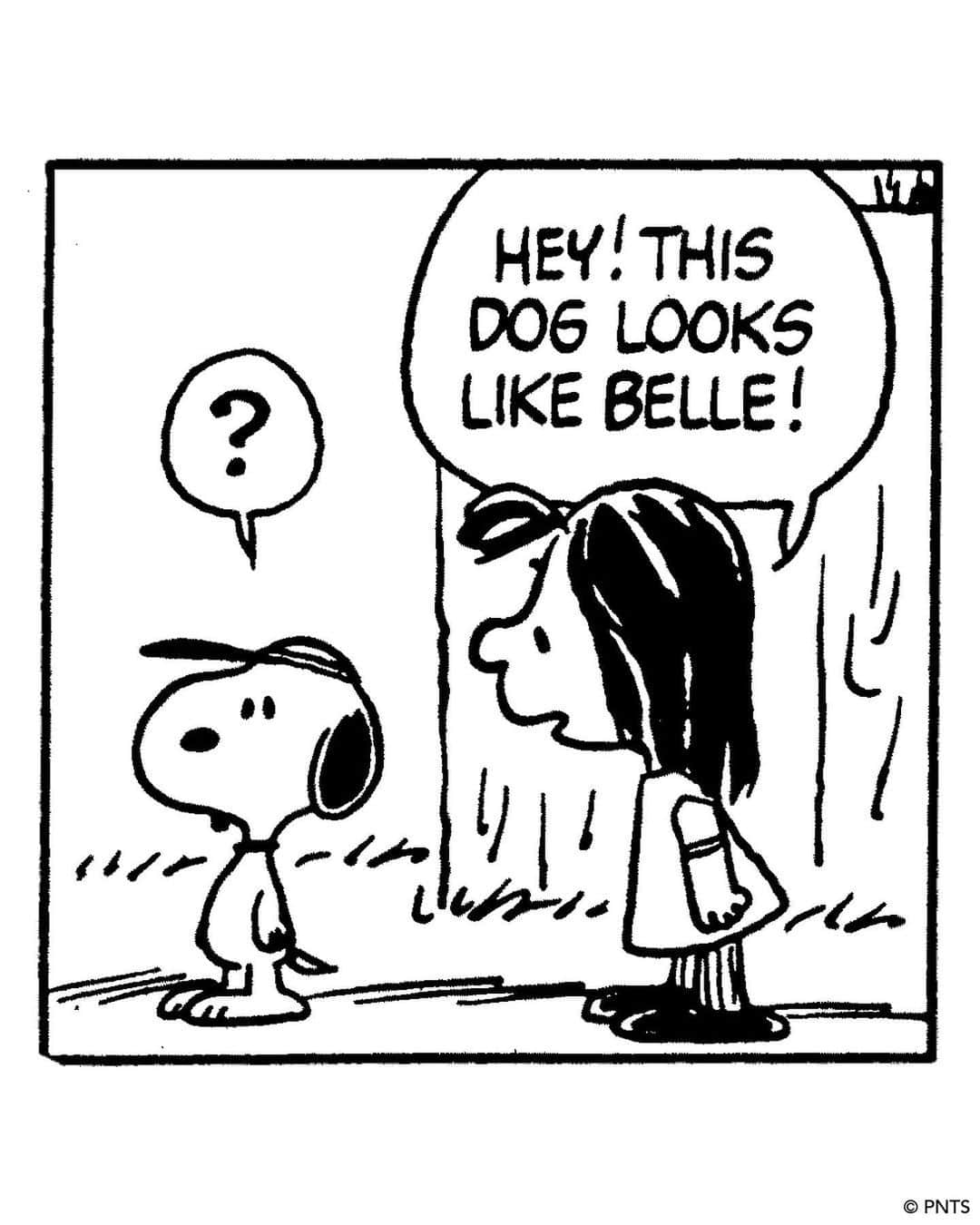 スヌーピーさんのインスタグラム写真 - (スヌーピーInstagram)「🎀 Today is #BelleDay! On this day in 1976, Snoopy's sister, Belle, made her Peanuts debut when Snoopy visits her in Kansas City, Missouri.   As the two have not seen each other since they were puppies at the Daisy Hill Puppy Farm, Snoopy is surprised to see Belle has a teenage son who has a striking resemblance to the Pink Panther! ⁠ ⁠ The two siblings would again cross paths again in France when Snoopy, as the World War I Flying Ace, meets Belle, who conveniently serves as a nurse for the Red Cross.⁠  Although Belle made only a handful of appearances in the Peanuts comic strip, her fan base continues to grow through her extensive merchandise and the worldwide exhibition Snoopy and Belle in Fashion!  📷: 1. Peanuts comic strip, June 28, 1976.⁠ ©PNTS 2. “Plush Belle Baiana” © 1982 Estrela ⁠3. "Snoopy and Belle Dress Up Set" © Colorforms Brand LLC」6月29日 0時18分 - snoopygrams