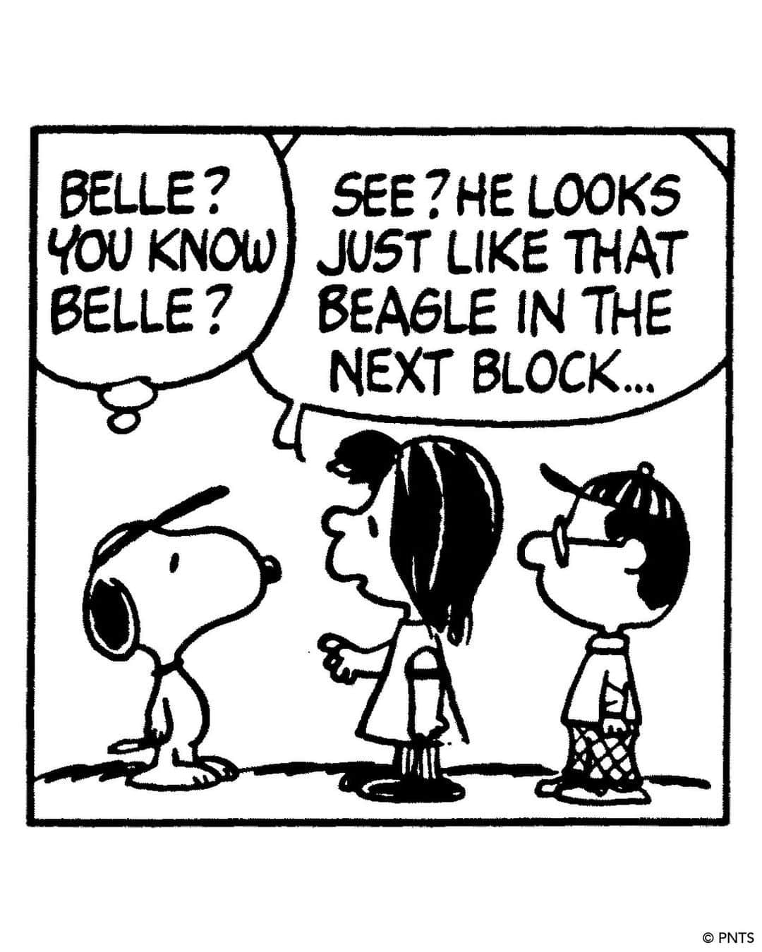 スヌーピーさんのインスタグラム写真 - (スヌーピーInstagram)「🎀 Today is #BelleDay! On this day in 1976, Snoopy's sister, Belle, made her Peanuts debut when Snoopy visits her in Kansas City, Missouri.   As the two have not seen each other since they were puppies at the Daisy Hill Puppy Farm, Snoopy is surprised to see Belle has a teenage son who has a striking resemblance to the Pink Panther! ⁠ ⁠ The two siblings would again cross paths again in France when Snoopy, as the World War I Flying Ace, meets Belle, who conveniently serves as a nurse for the Red Cross.⁠  Although Belle made only a handful of appearances in the Peanuts comic strip, her fan base continues to grow through her extensive merchandise and the worldwide exhibition Snoopy and Belle in Fashion!  📷: 1. Peanuts comic strip, June 28, 1976.⁠ ©PNTS 2. “Plush Belle Baiana” © 1982 Estrela ⁠3. "Snoopy and Belle Dress Up Set" © Colorforms Brand LLC」6月29日 0時18分 - snoopygrams