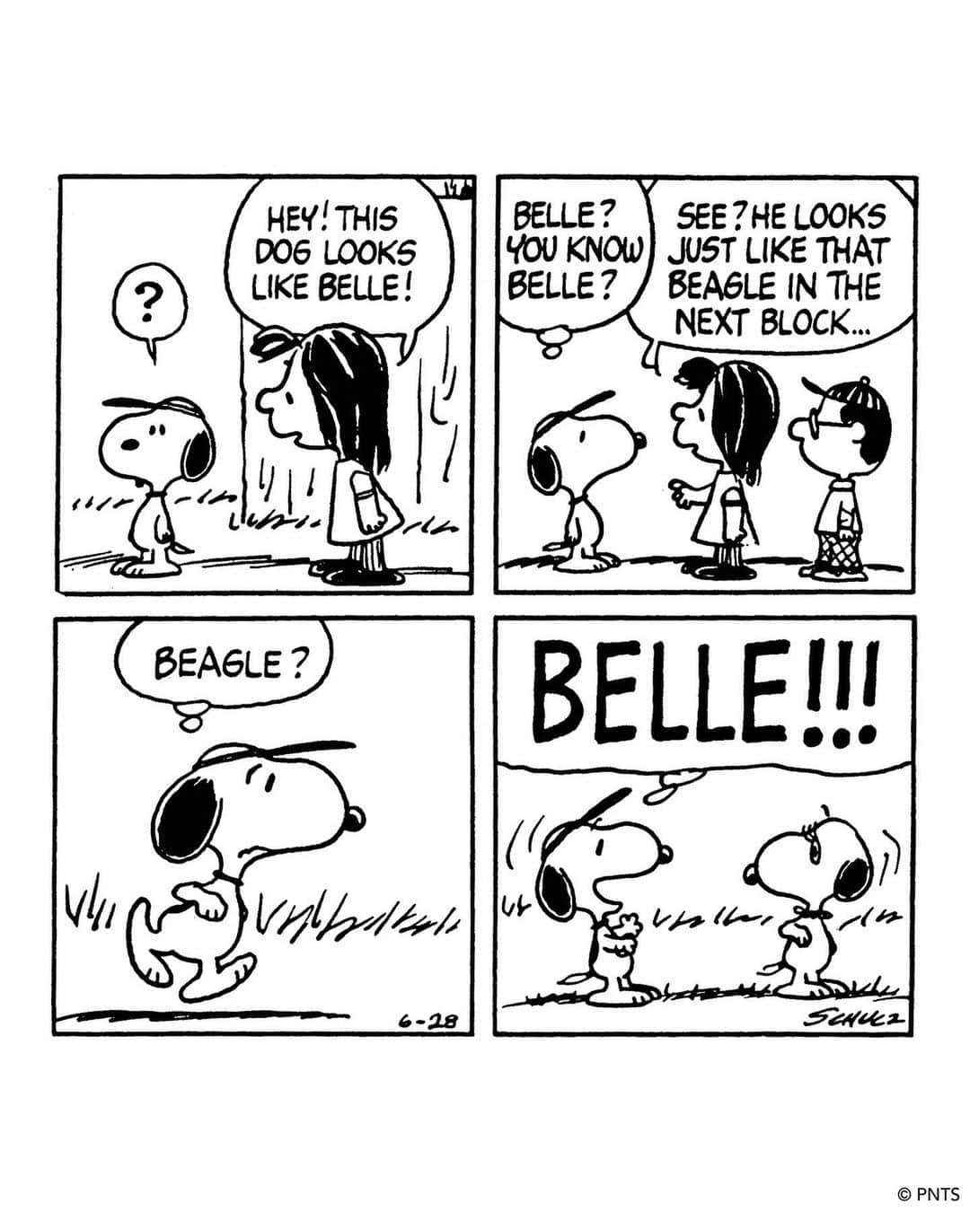 スヌーピーさんのインスタグラム写真 - (スヌーピーInstagram)「🎀 Today is #BelleDay! On this day in 1976, Snoopy's sister, Belle, made her Peanuts debut when Snoopy visits her in Kansas City, Missouri.   As the two have not seen each other since they were puppies at the Daisy Hill Puppy Farm, Snoopy is surprised to see Belle has a teenage son who has a striking resemblance to the Pink Panther! ⁠ ⁠ The two siblings would again cross paths again in France when Snoopy, as the World War I Flying Ace, meets Belle, who conveniently serves as a nurse for the Red Cross.⁠  Although Belle made only a handful of appearances in the Peanuts comic strip, her fan base continues to grow through her extensive merchandise and the worldwide exhibition Snoopy and Belle in Fashion!  📷: 1. Peanuts comic strip, June 28, 1976.⁠ ©PNTS 2. “Plush Belle Baiana” © 1982 Estrela ⁠3. "Snoopy and Belle Dress Up Set" © Colorforms Brand LLC」6月29日 0時18分 - snoopygrams