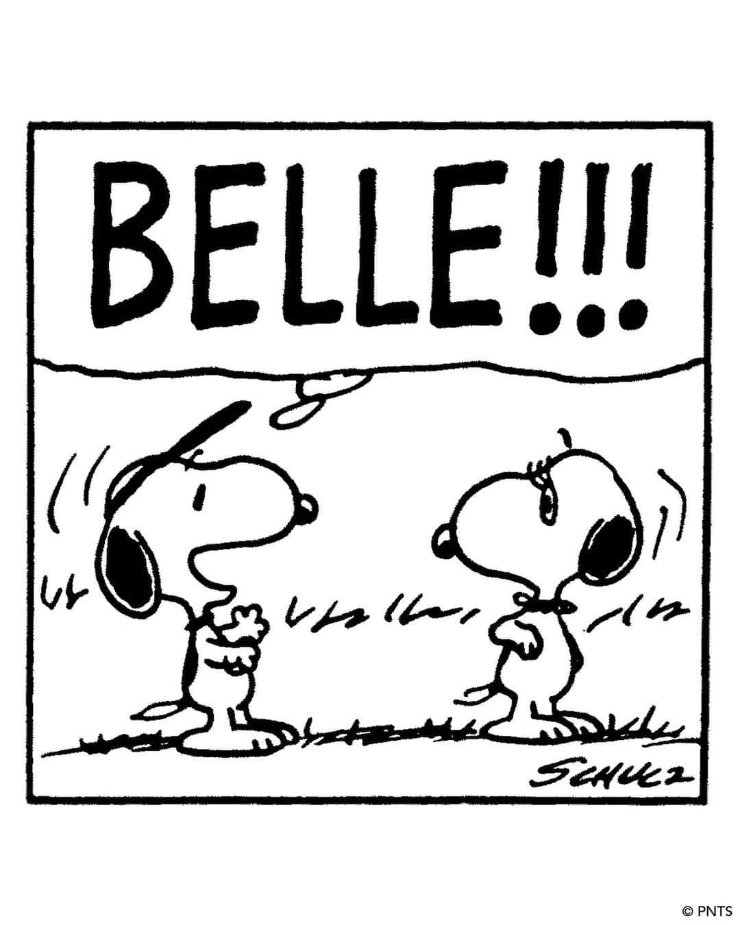スヌーピーさんのインスタグラム写真 - (スヌーピーInstagram)「🎀 Today is #BelleDay! On this day in 1976, Snoopy's sister, Belle, made her Peanuts debut when Snoopy visits her in Kansas City, Missouri.   As the two have not seen each other since they were puppies at the Daisy Hill Puppy Farm, Snoopy is surprised to see Belle has a teenage son who has a striking resemblance to the Pink Panther! ⁠ ⁠ The two siblings would again cross paths again in France when Snoopy, as the World War I Flying Ace, meets Belle, who conveniently serves as a nurse for the Red Cross.⁠  Although Belle made only a handful of appearances in the Peanuts comic strip, her fan base continues to grow through her extensive merchandise and the worldwide exhibition Snoopy and Belle in Fashion!  📷: 1. Peanuts comic strip, June 28, 1976.⁠ ©PNTS 2. “Plush Belle Baiana” © 1982 Estrela ⁠3. "Snoopy and Belle Dress Up Set" © Colorforms Brand LLC」6月29日 0時18分 - snoopygrams