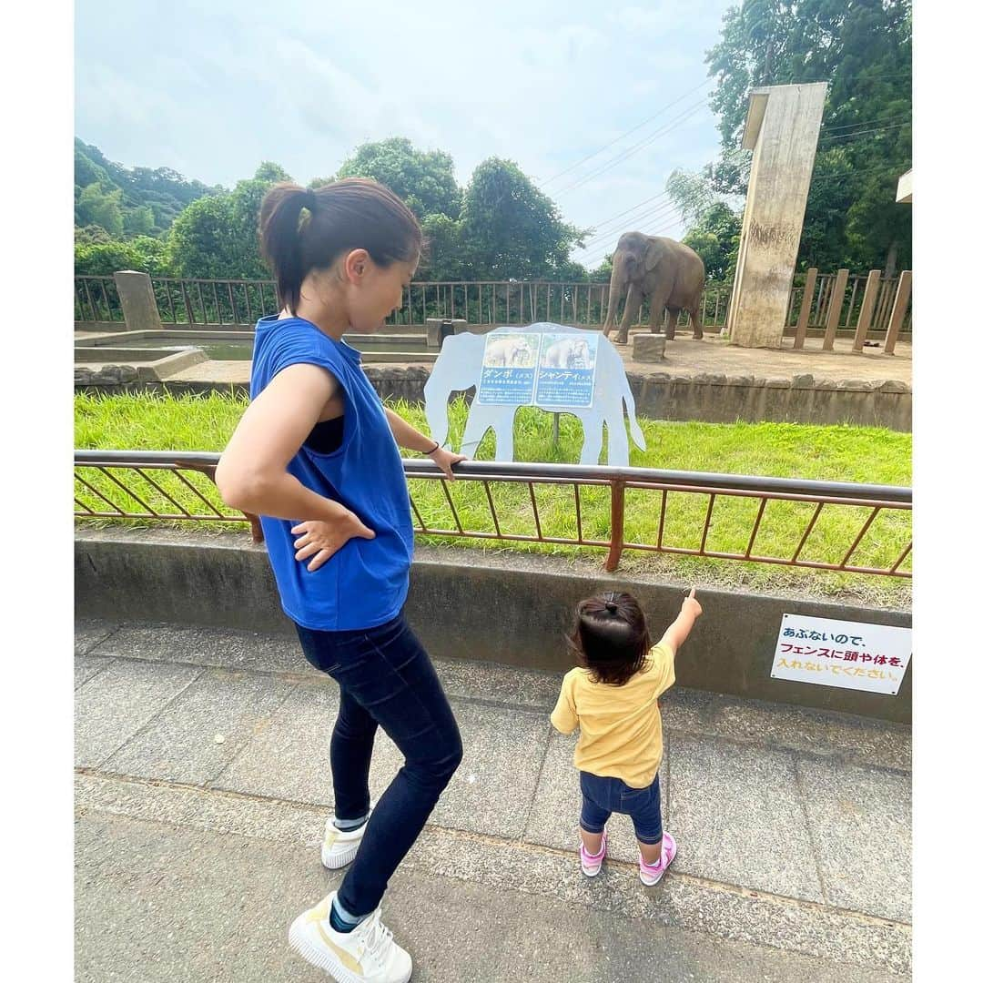 影山祥子のインスタグラム：「. 日本平動物園🐘 色んな動物が結構近くでみれて みーもかなり楽しんでた🥰 しろくま🐻‍❄️は子供も大人も大興奮でした🤣🤍 ガラス越しでおよいでるところなんてなかなか見れないよね🥺 静岡帰った時はまた行こうかな🙊 . . . #静岡　#帰省　#日本平動物園　#動物園 #しろくま　#ロッシー　#親子　#子育て　#子育て日記 #女の子ママ  #girl #zoo #whitebear」