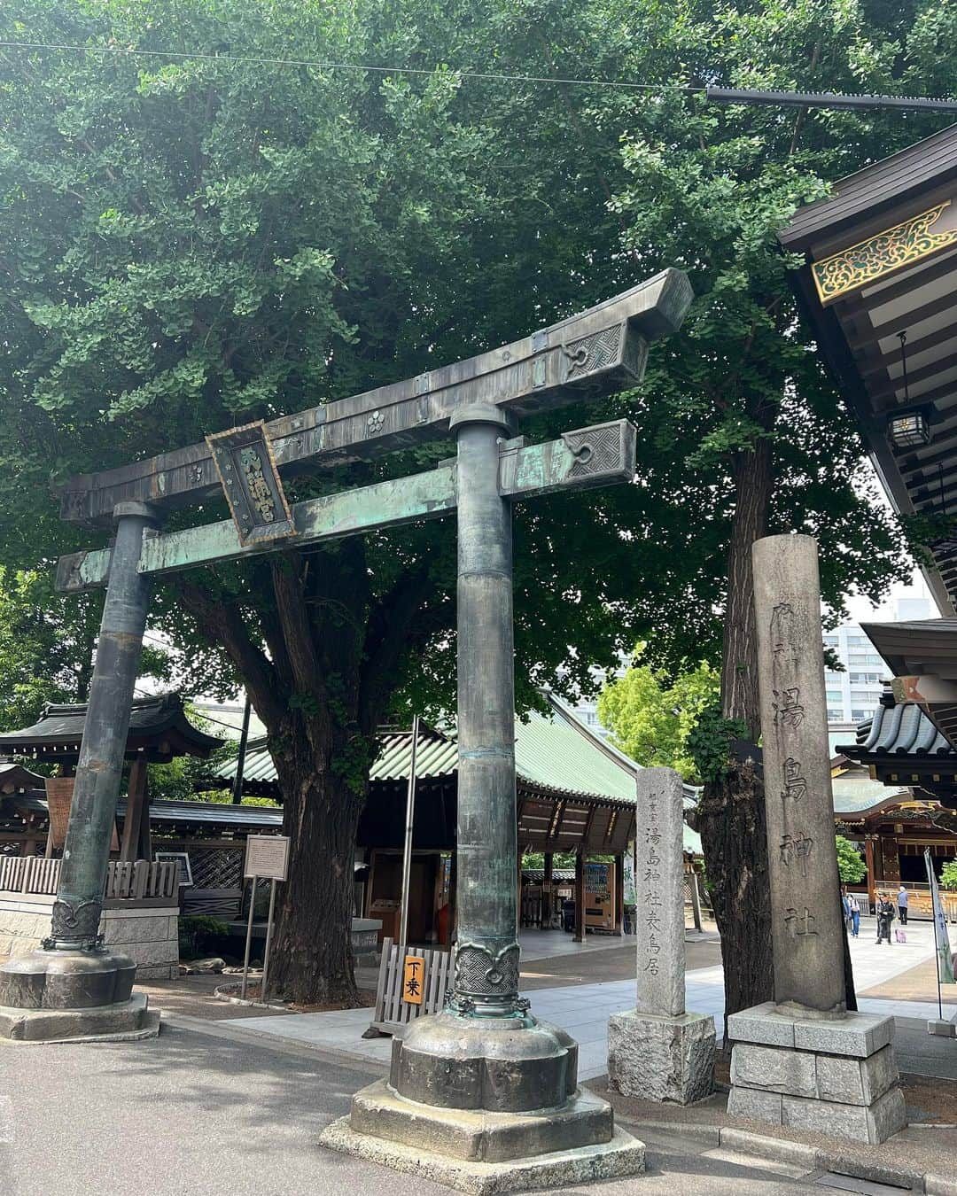 たけるのインスタグラム：「【最近の参拝歴】  湯島天満宮　東京　文京区 手力男命（タチカラオノミコト）と菅原道真公をお祭りする神社 学問だぜ 頭良くなるぜ QuizKnock神社 拝殿も趣ありまくり ちなみに天満宮は狛犬とかではなく、牛 4枚目なで牛 なで牛というよりグラビアアイドル牛 牛田曜子だ あとあとここは拝殿の後ろにお賽銭箱設置されてる ここでお参りした方が後ろ側に神様いらっしゃるから近いということで願いが通りやすいんだって 表と裏で顔が違う神社 RIZAP神社 やっぱり 鳥居カッケェ  #東京ホテイソン #たける #備中神楽 #岡山県 #神社巡り #御朱印 #湯島天満宮 #湯島天神 #文京区 #東京 #鳥居カッケェ」