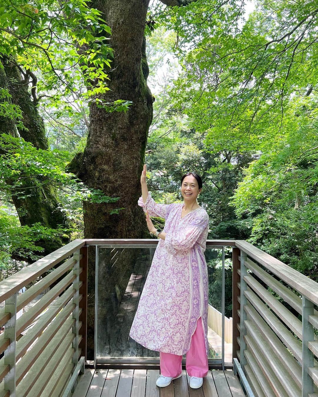 AYUMIさんのインスタグラム写真 - (AYUMIInstagram)「熱海6人旅🌈 お天気もよく風が気持ちよかったので宿泊した @soki_atami  からハイキングで来宮神社へ  樹齢2千年以上の大楠が迎えてくれました💫  なんて清々しいんだろう✨  なんて心地いいんだろう✨  この時に感謝します🫶  大好きな人たちとの１泊2日 心も身体も満たされて 7月からの下半期をスタート✨  @tokikonitta  @kanaeishii_lc  @aiai_fji  @mariko_h  @kyoko518   #熱海　　#来宮神社　  しふく♡ ワンピース　@pasand_by_nequittezpas  パンツ　　　@aton_tokyo  スニーカー　@billys_tokyo」6月29日 13時38分 - ayumiayunco
