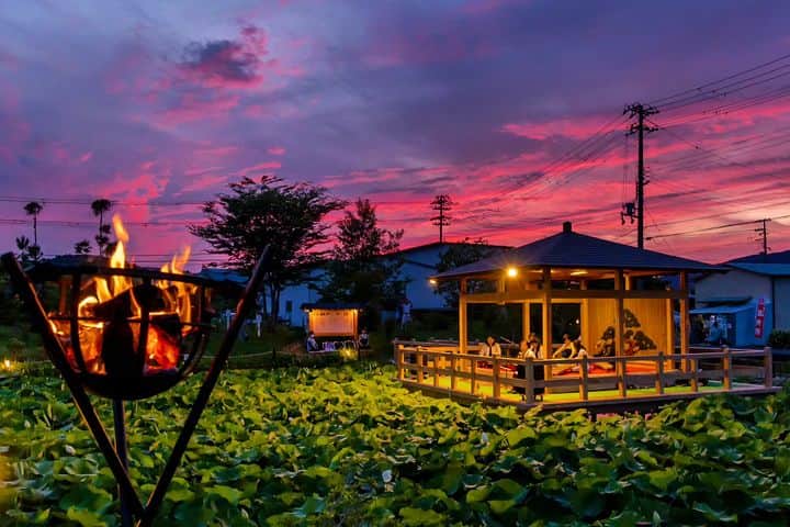 のインスタグラム：「. 御坊市にある「蓮の郷」で、先週末に「古典芸能の夕べ」が開催されました👏ここでは、御坊生まれの🌼舞妃蓮🌼を見ることができます😲  📷：@shojitaki 📍：有田・日高エリア 御坊市  和歌山の写真に #nagomi_wakayama のハッシュタグをつけて投稿いただくと、その中から素敵な写真をリポストします😉 . . . #和歌山 #和歌山観光 #和歌山旅行 #わかやま #和みわかやま #wakayama #wakayamajapan #wakayamatrip #wakayamatravel #nagomi_wakayama #wakayamagram #蓮 #蓮の池 #舞妃蓮 #古典芸能 #御坊 #lotus #lotusflower #japaneseinstruments #lotuspond #旅行 #国内旅行 #旅行好きな人と繋がりたい #観光 #travel #trip #travelgram #japan #travelphotography」