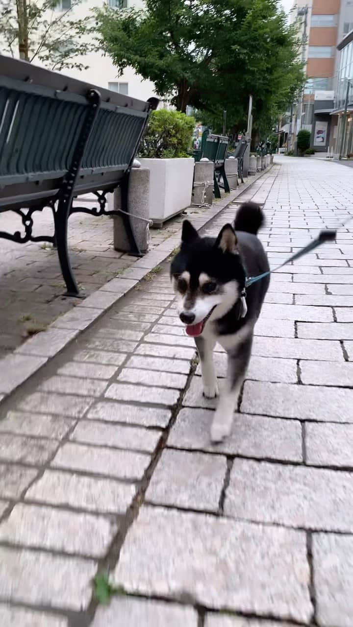 くろのグルメインスタ