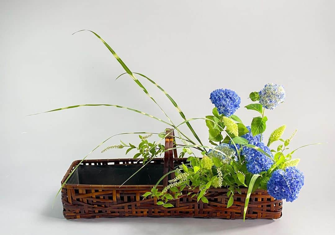 小原宏貴のインスタグラム：「〜〜〜  #紫陽花　コバノズイナ　アワ　#ススキ　  #hydrangea Itea virginica, Setaria italica, #miscanthus ,Millet  勢い良くあっという間に伸びる夏草。 草抜きの季節。  In summer, summer grasses such as Miscanthus grow quickly. Time to weed.  〜〜〜  #小原流 #いけばな小原流　 #ohararyu  #oharaschoolofikebana #いけばな #插花 #花藝 #ikebana #華道 #小原宏貴 #hirokiohara #花のある暮らし #花好きの人と繋がりたい #flowerstagram #flowersofinstagram #flowerartist #flower #flowers #flowerlovers #flowerphotography #instaflower  #夏の花　 #爽やか #竹籠　 #花籠　 #bamboobasket」