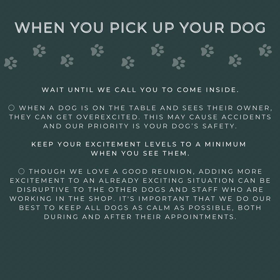Dogs by Ginaさんのインスタグラム写真 - (Dogs by GinaInstagram)「Here at NNDC we’re all a team! Dog owners and groomers alike.   That’s why we’ve worked with a dog mindset trainer to help us create a best practices guide for drop off and pickup.   Our top priority is the comfort and safety of your dog.   Have an appointment coming up? We encourage you to take the time and read through these slides.」6月29日 7時01分 - napanatural.dogco