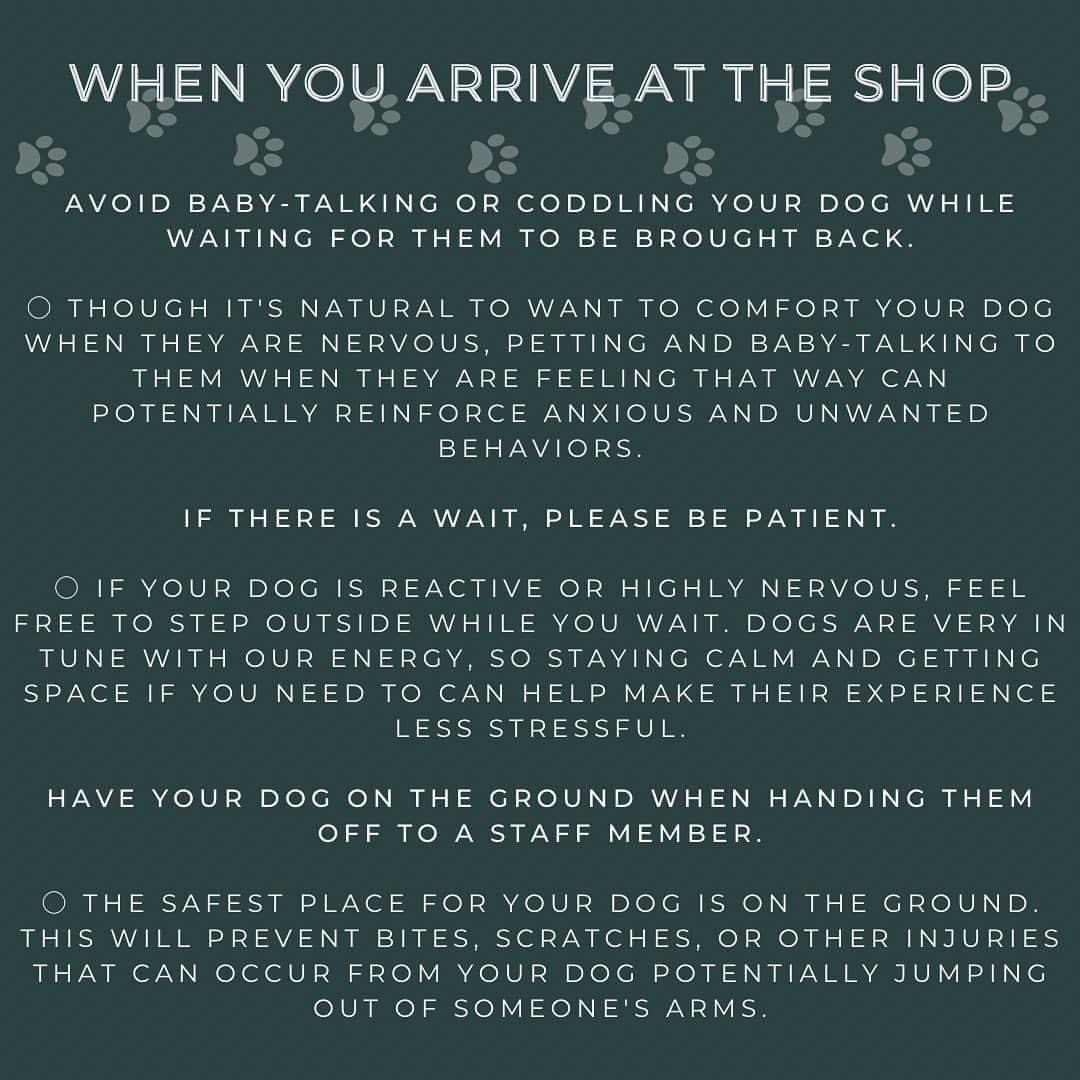 Dogs by Ginaさんのインスタグラム写真 - (Dogs by GinaInstagram)「Here at NNDC we’re all a team! Dog owners and groomers alike.   That’s why we’ve worked with a dog mindset trainer to help us create a best practices guide for drop off and pickup.   Our top priority is the comfort and safety of your dog.   Have an appointment coming up? We encourage you to take the time and read through these slides.」6月29日 7時01分 - napanatural.dogco